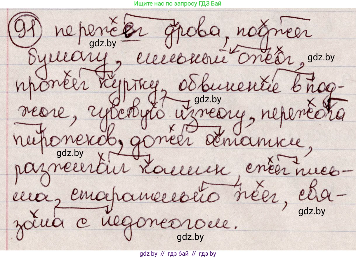 Русский язык, 6 класс Учебник, авторы: Мурина Лариса Александровна, Игнатович Татьяна Владимировна, Жадейко Жанна Фёдоровна, издательство Национальный институт образования, Минск, 2020, страница 48, номер 91, Решение 2