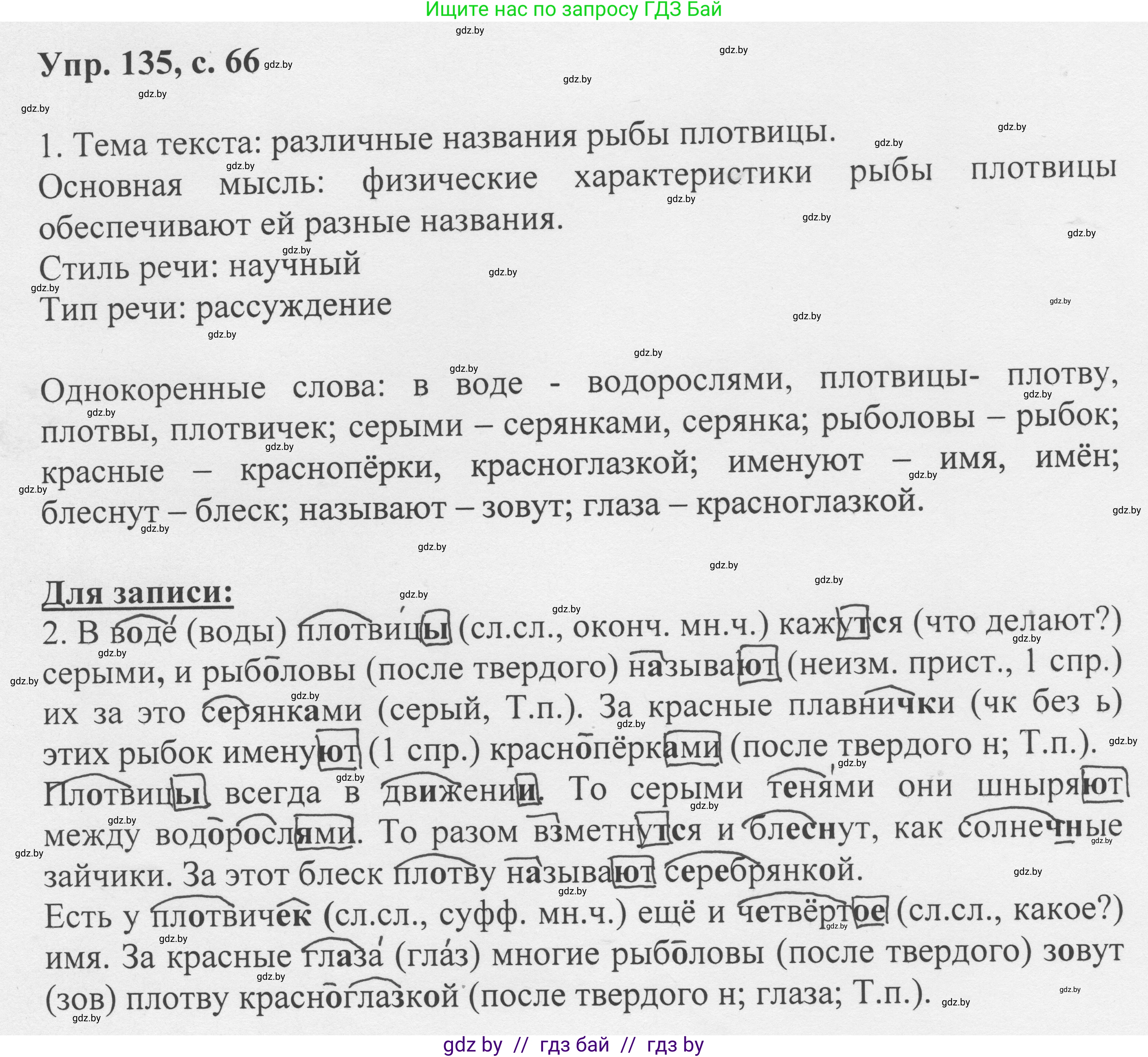 Русский язык, 6 класс Учебник, авторы: Мурина Лариса Александровна, Игнатович Татьяна Владимировна, Жадейко Жанна Фёдоровна, издательство Национальный институт образования, Минск, 2020, страница 66, номер 135, Решение 1