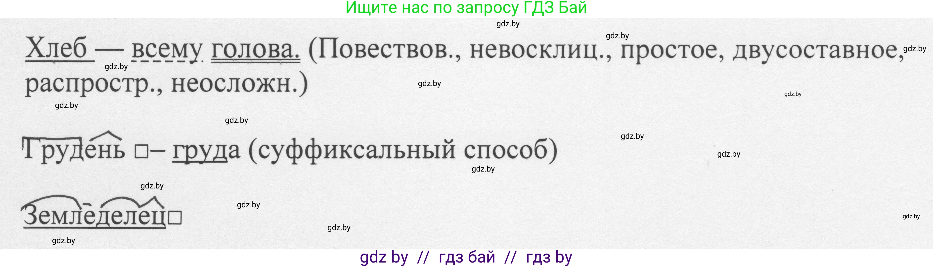 Русский язык, 6 класс Учебник, авторы: Мурина Лариса Александровна, Игнатович Татьяна Владимировна, Жадейко Жанна Фёдоровна, издательство Национальный институт образования, Минск, 2020, страница 99, номер 206, Решение 1 (продолжение 2)