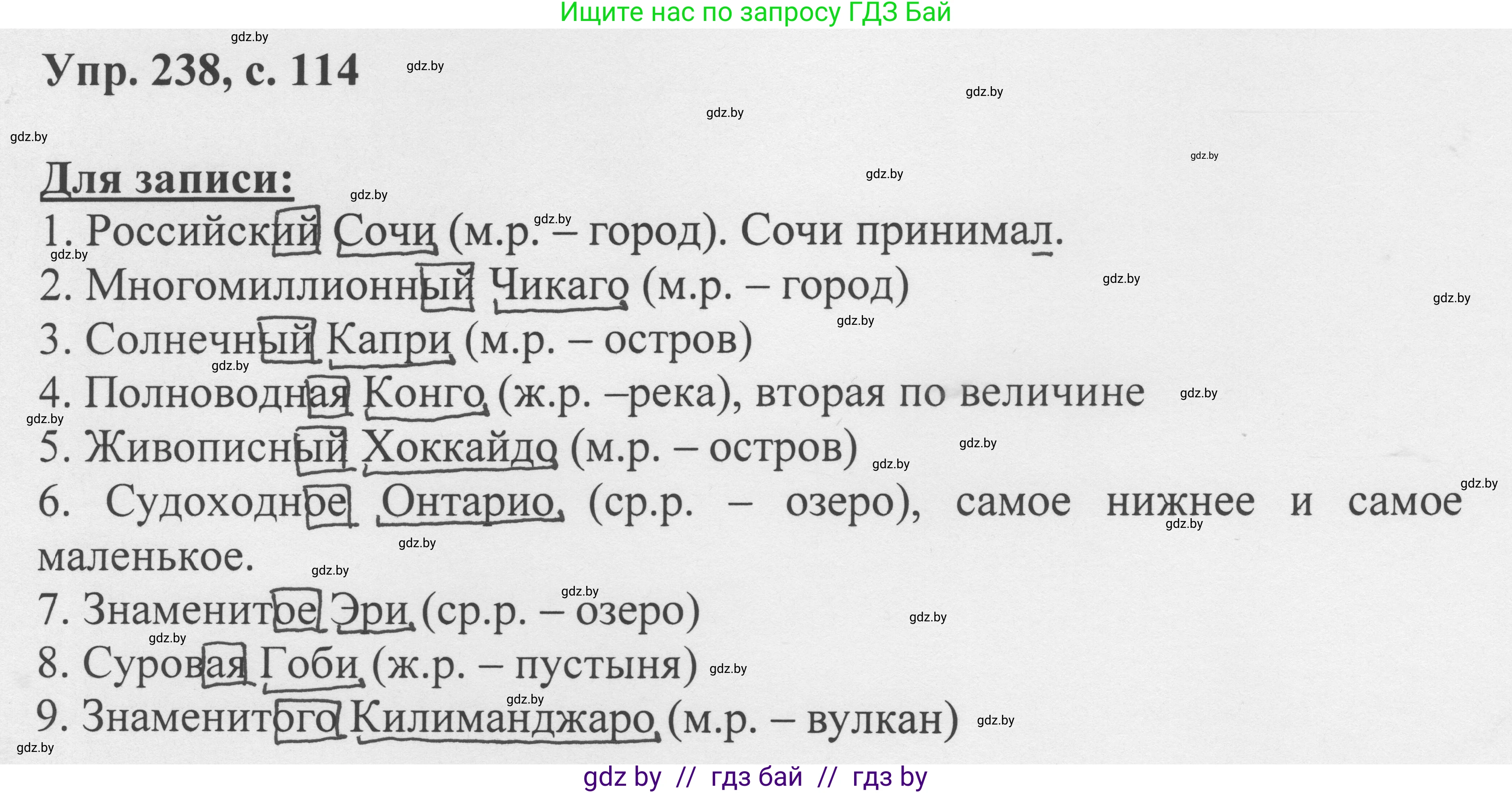 Русский язык, 6 класс Учебник, авторы: Мурина Лариса Александровна, Игнатович Татьяна Владимировна, Жадейко Жанна Фёдоровна, издательство Национальный институт образования, Минск, 2020, страница 114, номер 238, Решение 1