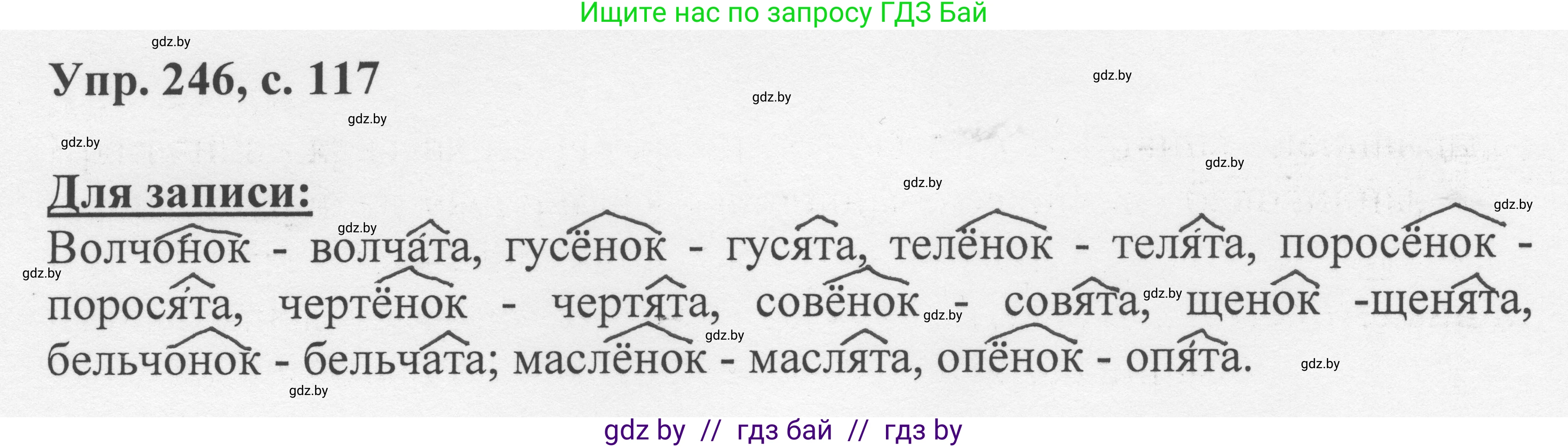 Русский язык, 6 класс Учебник, авторы: Мурина Лариса Александровна, Игнатович Татьяна Владимировна, Жадейко Жанна Фёдоровна, издательство Национальный институт образования, Минск, 2020, страница 117, номер 246, Решение 1