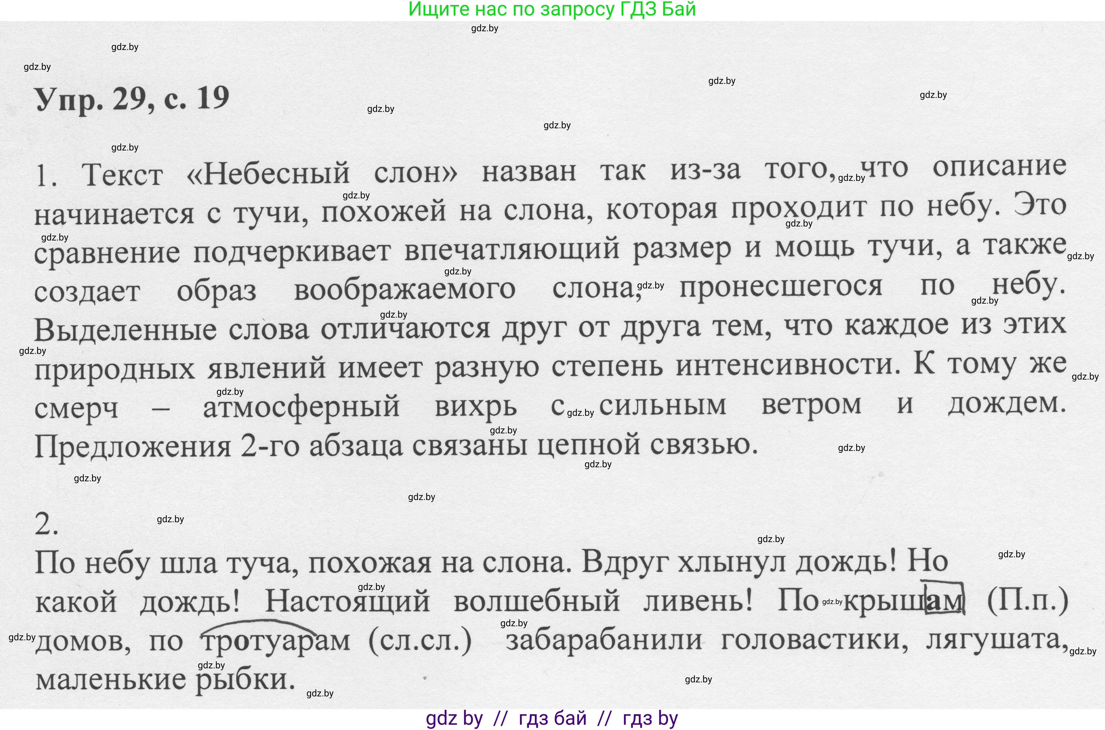 Русский язык, 6 класс Учебник, авторы: Мурина Лариса Александровна, Игнатович Татьяна Владимировна, Жадейко Жанна Фёдоровна, издательство Национальный институт образования, Минск, 2020, страница 19, номер 29, Решение 1