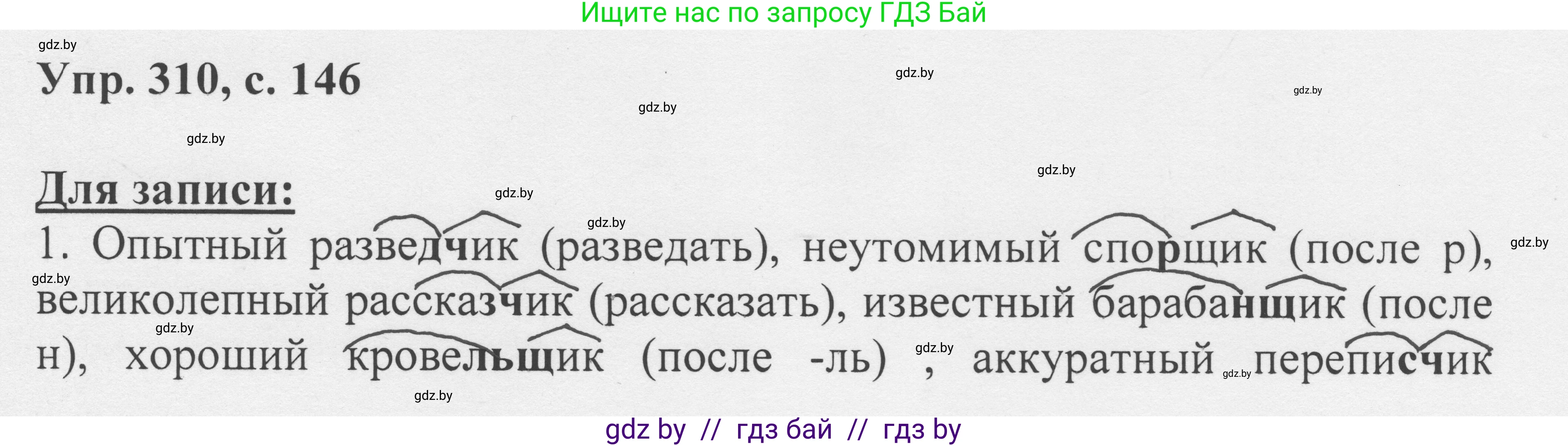 Русский язык, 6 класс Учебник, авторы: Мурина Лариса Александровна, Игнатович Татьяна Владимировна, Жадейко Жанна Фёдоровна, издательство Национальный институт образования, Минск, 2020, страница 146, номер 310, Решение 1