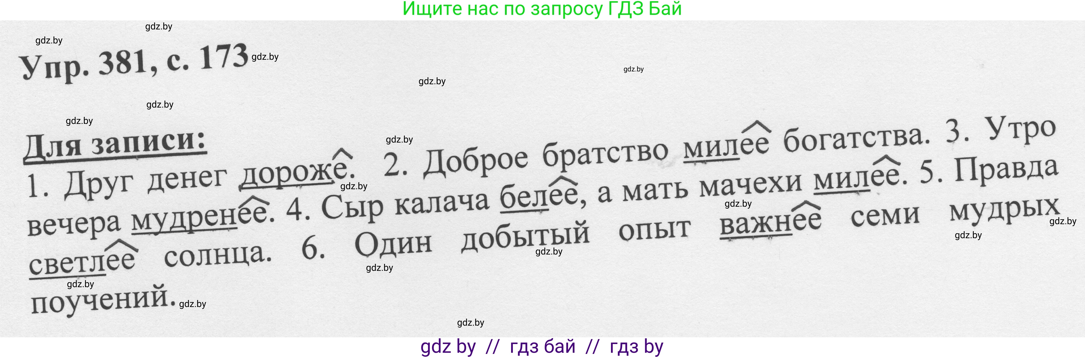 Русский язык, 6 класс Учебник, авторы: Мурина Лариса Александровна, Игнатович Татьяна Владимировна, Жадейко Жанна Фёдоровна, издательство Национальный институт образования, Минск, 2020, страница 173, номер 381, Решение 1