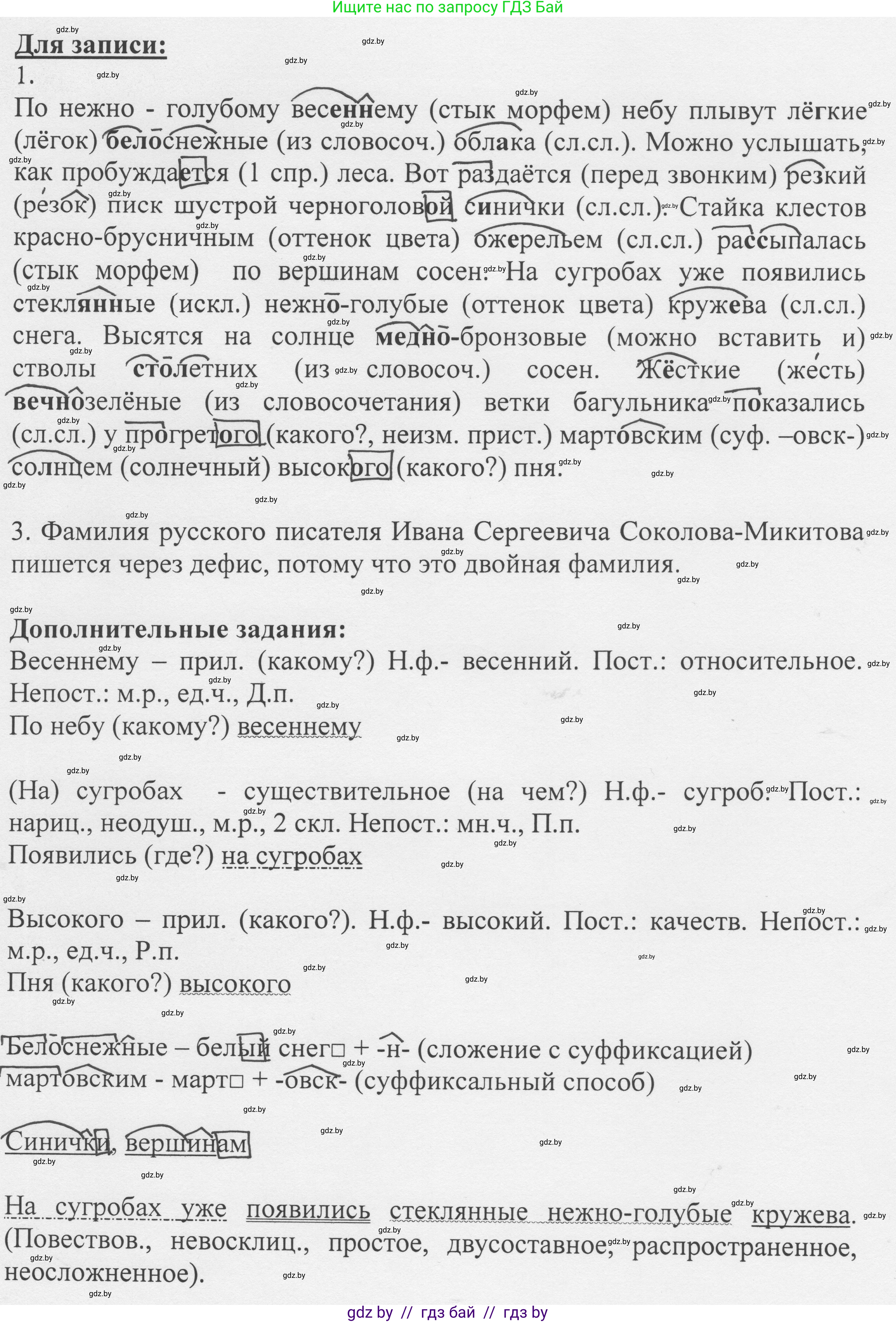 Русский язык, 6 класс Учебник, авторы: Мурина Лариса Александровна, Игнатович Татьяна Владимировна, Жадейко Жанна Фёдоровна, издательство Национальный институт образования, Минск, 2020, страница 196, номер 440, Решение 1 (продолжение 2)
