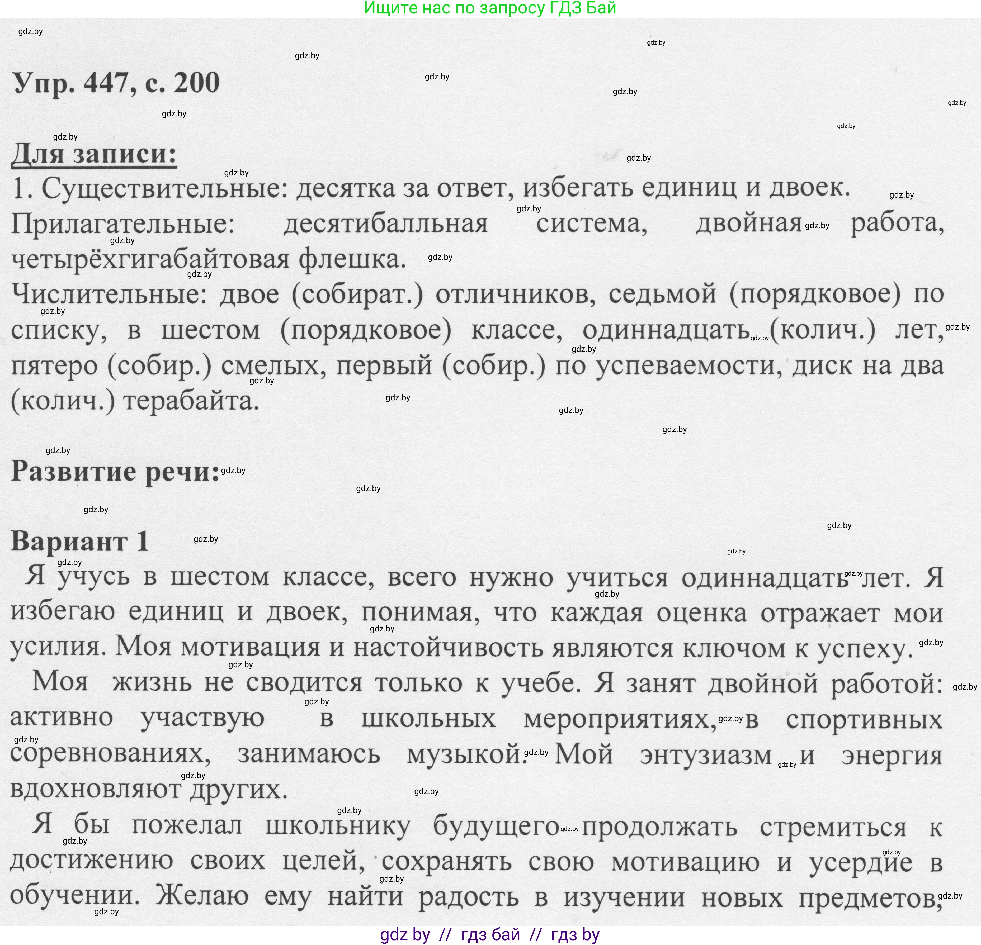 Русский язык, 6 класс Учебник, авторы: Мурина Лариса Александровна, Игнатович Татьяна Владимировна, Жадейко Жанна Фёдоровна, издательство Национальный институт образования, Минск, 2020, страница 200, номер 447, Решение 1