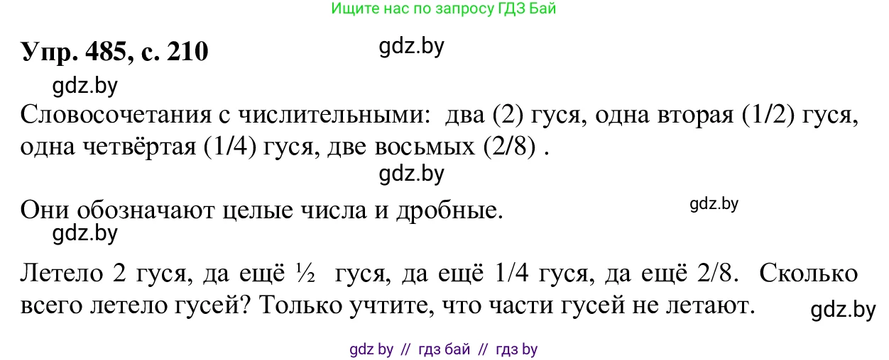 Русский язык, 6 класс Учебник, авторы: Мурина Лариса Александровна, Игнатович Татьяна Владимировна, Жадейко Жанна Фёдоровна, издательство Национальный институт образования, Минск, 2020, страница 210, номер 485, Решение 1