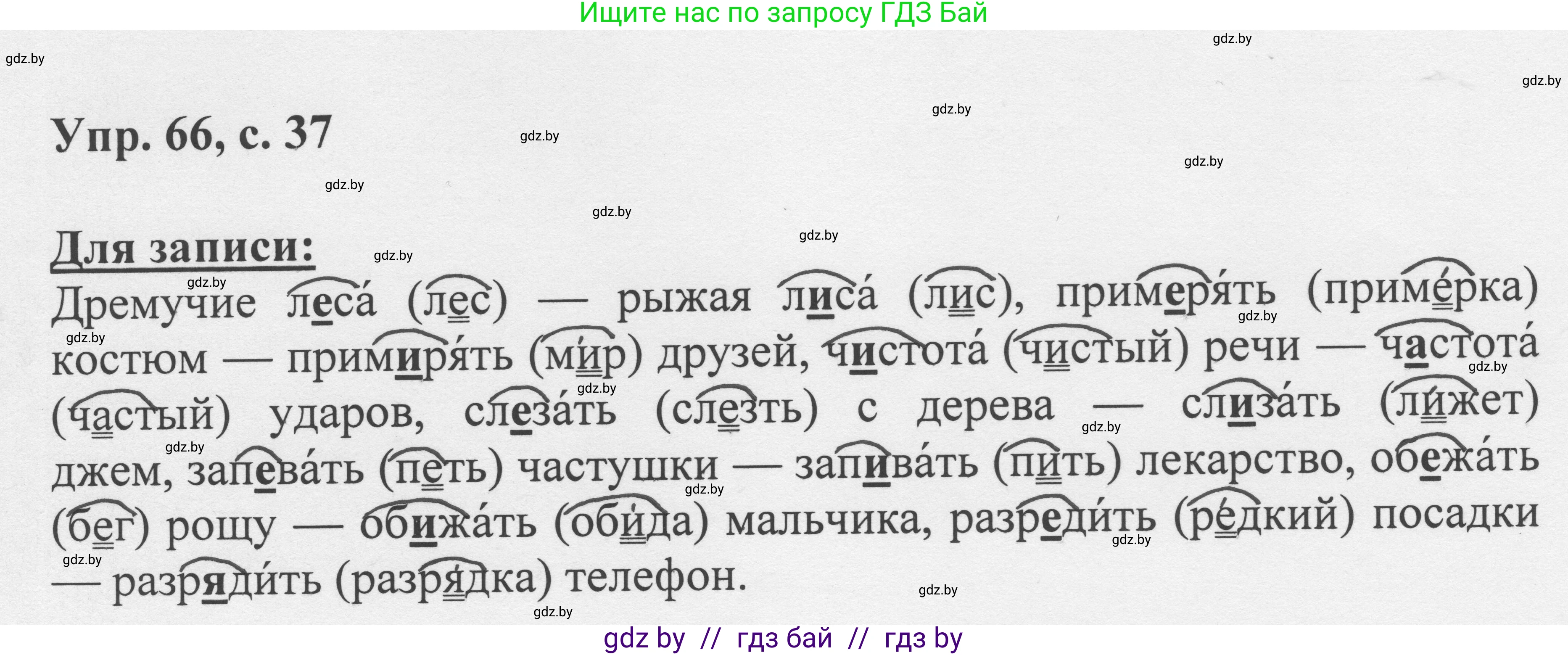 Русский язык, 6 класс Учебник, авторы: Мурина Лариса Александровна, Игнатович Татьяна Владимировна, Жадейко Жанна Фёдоровна, издательство Национальный институт образования, Минск, 2020, страница 37, номер 66, Решение 1