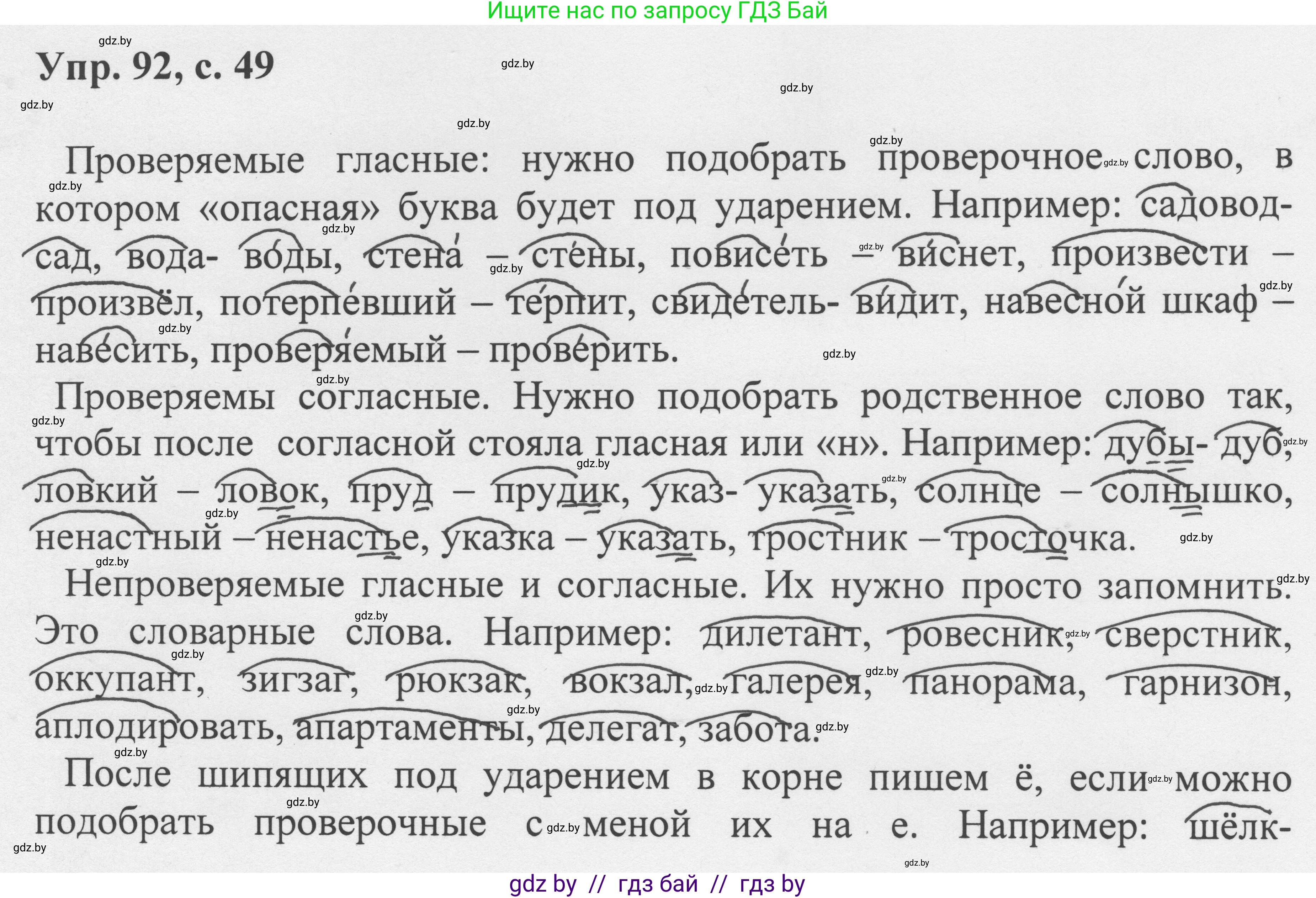 Русский язык, 6 класс Учебник, авторы: Мурина Лариса Александровна, Игнатович Татьяна Владимировна, Жадейко Жанна Фёдоровна, издательство Национальный институт образования, Минск, 2020, страница 49, номер 92, Решение 1