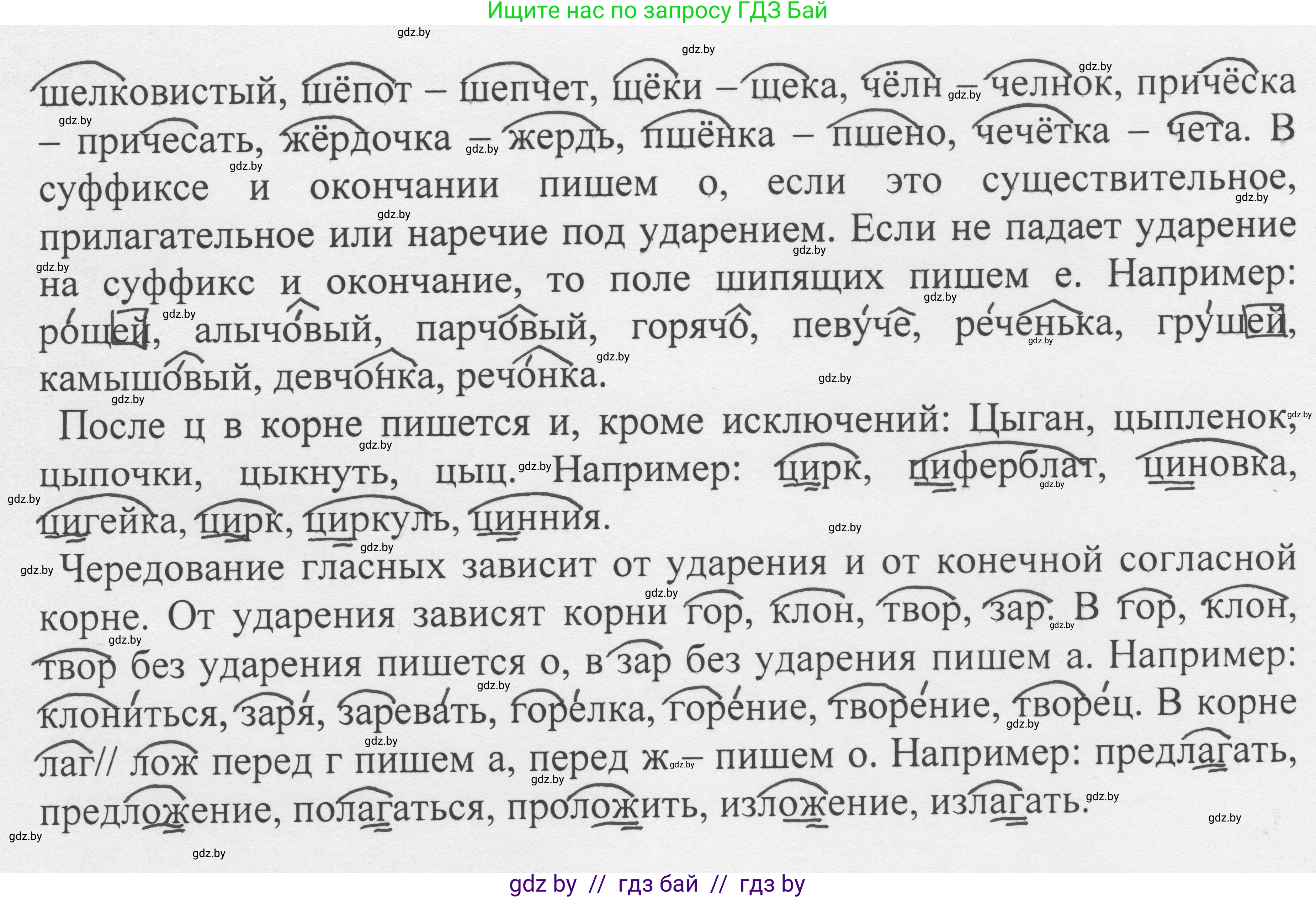 Русский язык, 6 класс Учебник, авторы: Мурина Лариса Александровна, Игнатович Татьяна Владимировна, Жадейко Жанна Фёдоровна, издательство Национальный институт образования, Минск, 2020, страница 49, номер 92, Решение 1 (продолжение 2)