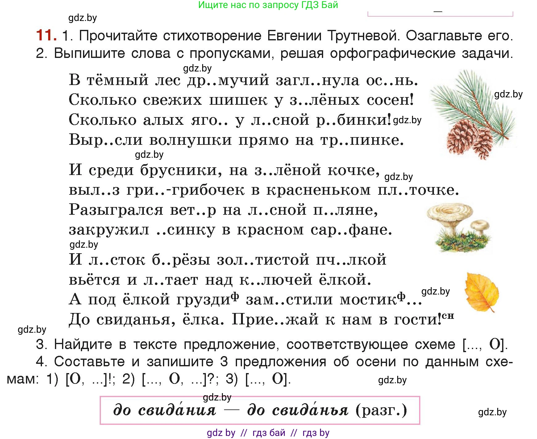 Русский язык, 6 класс Учебник, авторы: Мурина Лариса Александровна, Леонович Валентина Леонидовна, Жадейко Жанна Фёдоровна, Таяновская Ирина Владимировна, издательство Академия образования, Минск, 2026, страница 13, номер 11, Условие
