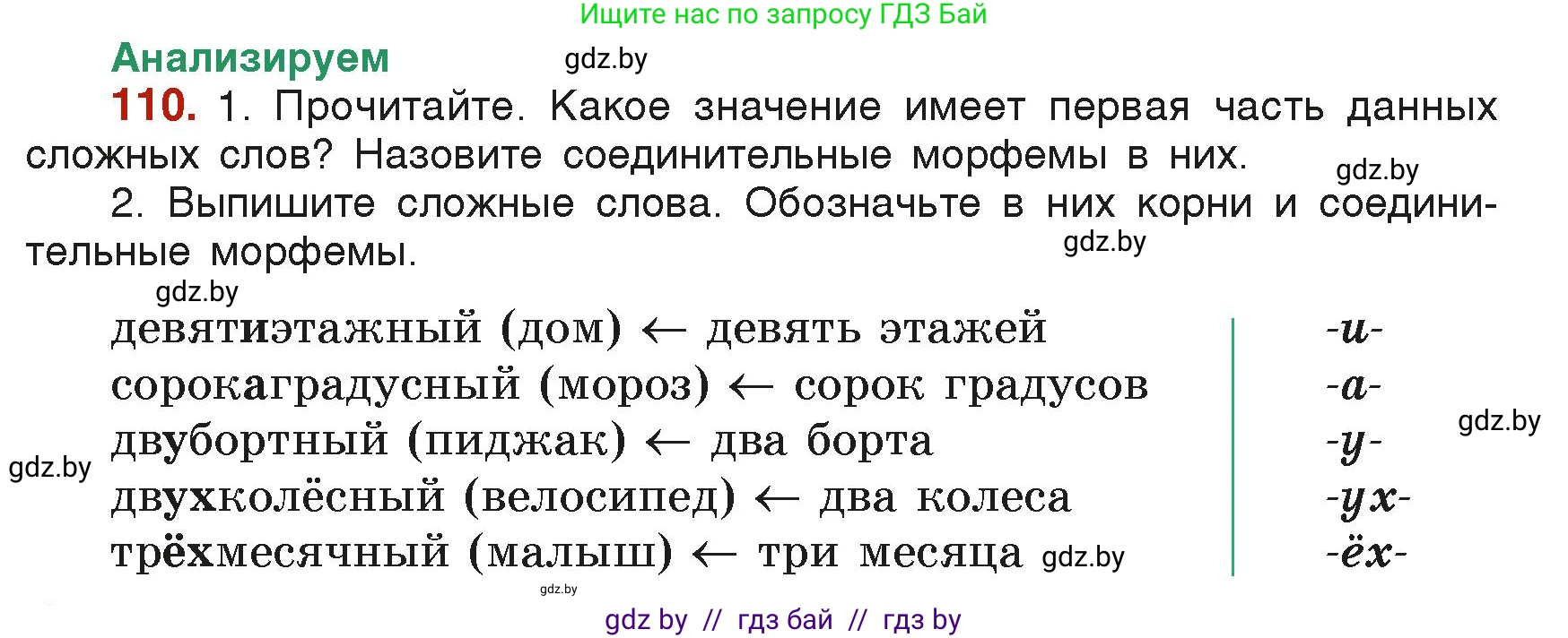 Русский язык, 6 класс Учебник, авторы: Мурина Лариса Александровна, Леонович Валентина Леонидовна, Жадейко Жанна Фёдоровна, Таяновская Ирина Владимировна, издательство Академия образования, Минск, 2026, страница 62, номер 110, Условие