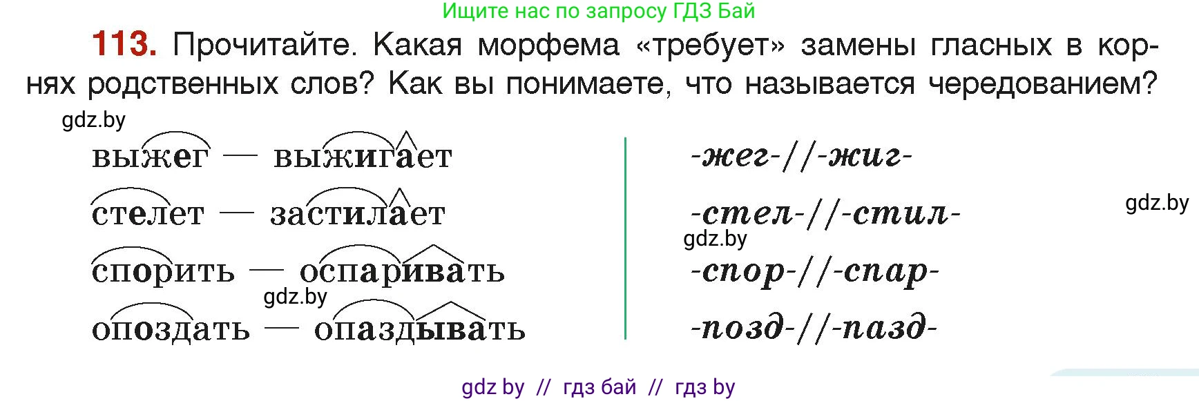 Русский язык, 6 класс Учебник, авторы: Мурина Лариса Александровна, Леонович Валентина Леонидовна, Жадейко Жанна Фёдоровна, Таяновская Ирина Владимировна, издательство Академия образования, Минск, 2026, страница 63, номер 113, Условие