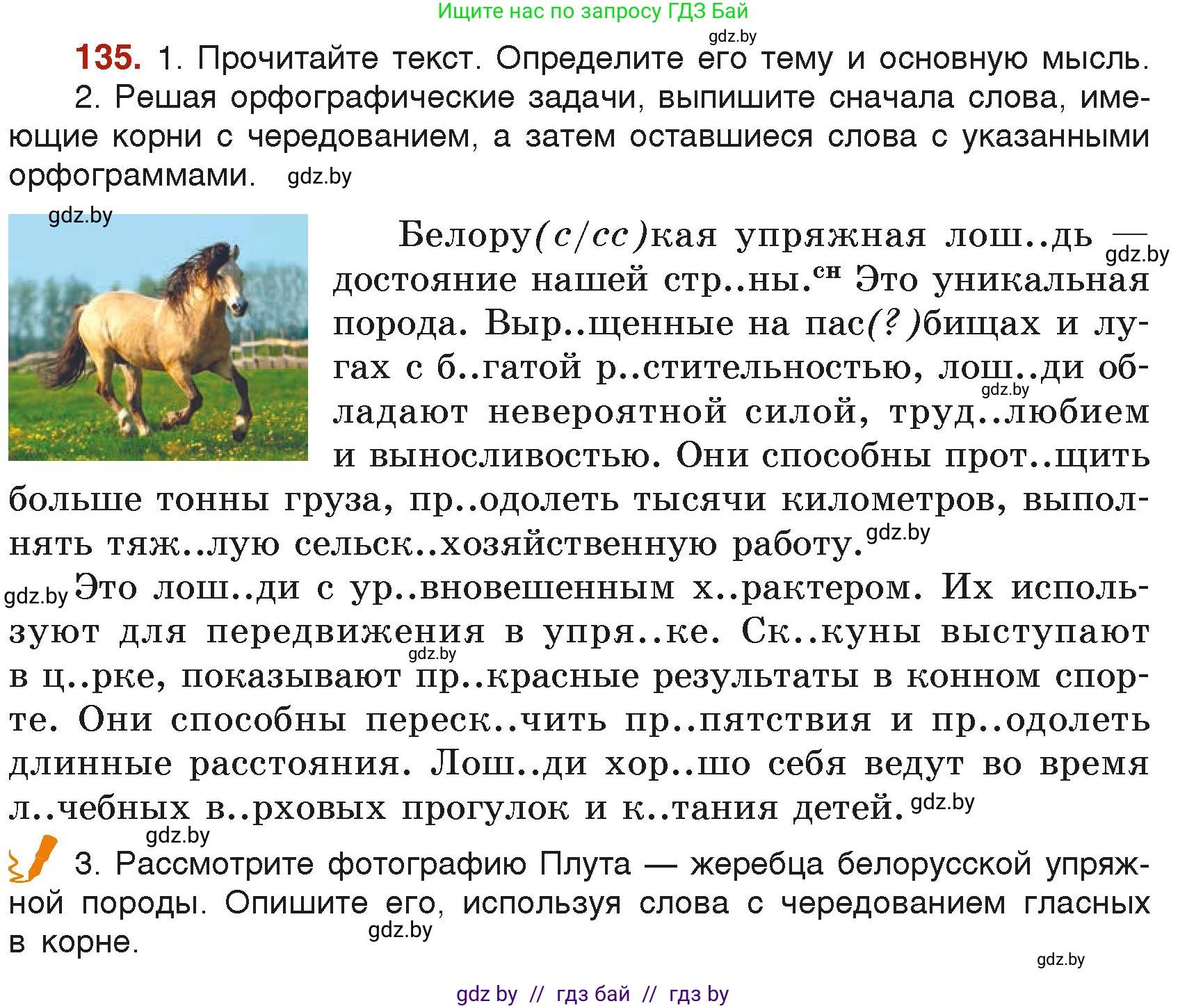 Русский язык, 6 класс Учебник, авторы: Мурина Лариса Александровна, Леонович Валентина Леонидовна, Жадейко Жанна Фёдоровна, Таяновская Ирина Владимировна, издательство Академия образования, Минск, 2026, страница 72, номер 135, Условие