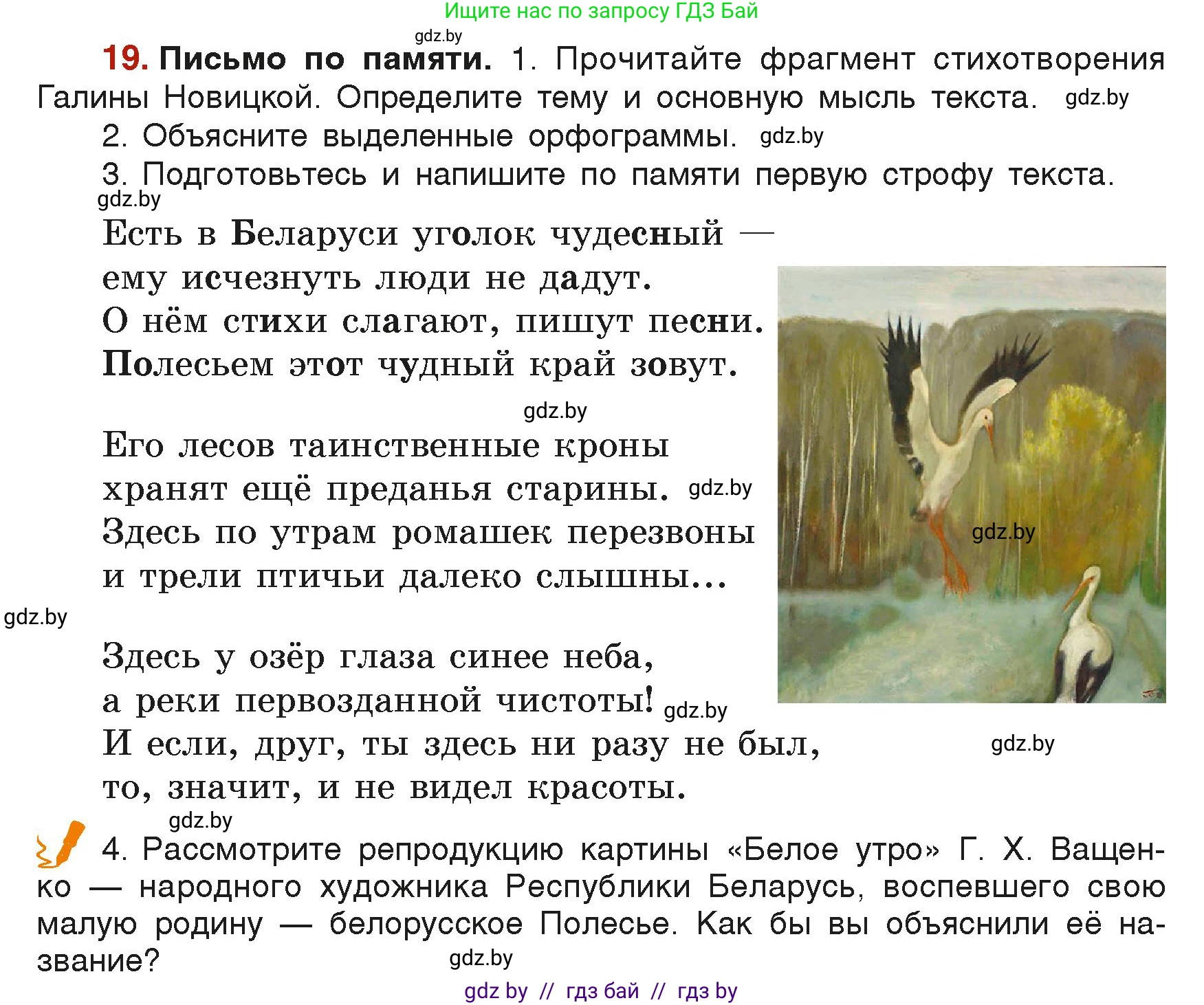 Русский язык, 6 класс Учебник, авторы: Мурина Лариса Александровна, Леонович Валентина Леонидовна, Жадейко Жанна Фёдоровна, Таяновская Ирина Владимировна, издательство Академия образования, Минск, 2026, страница 19, номер 19, Условие