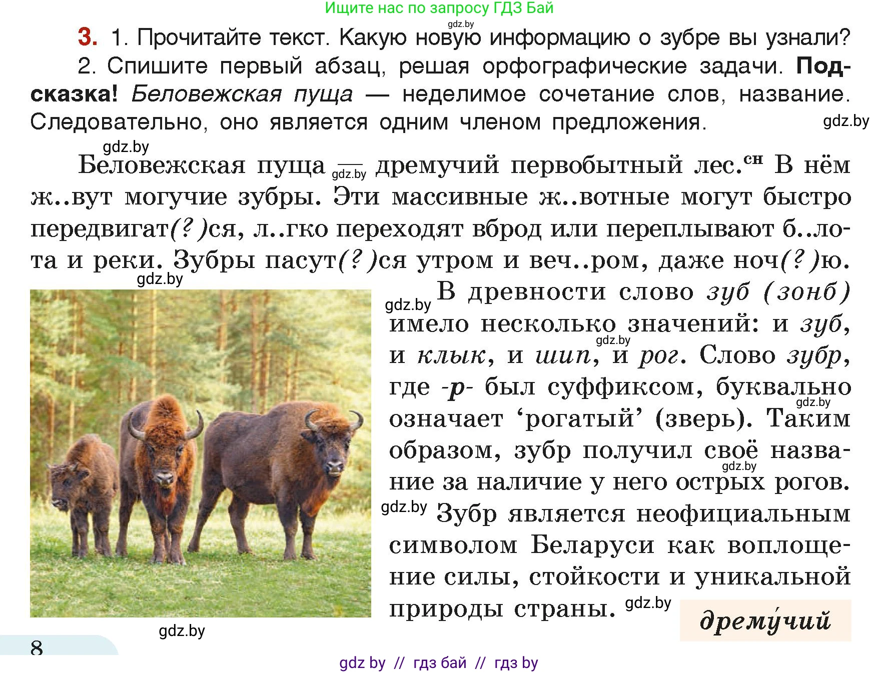 Русский язык, 6 класс Учебник, авторы: Мурина Лариса Александровна, Леонович Валентина Леонидовна, Жадейко Жанна Фёдоровна, Таяновская Ирина Владимировна, издательство Академия образования, Минск, 2026, страница 8, номер 3, Условие