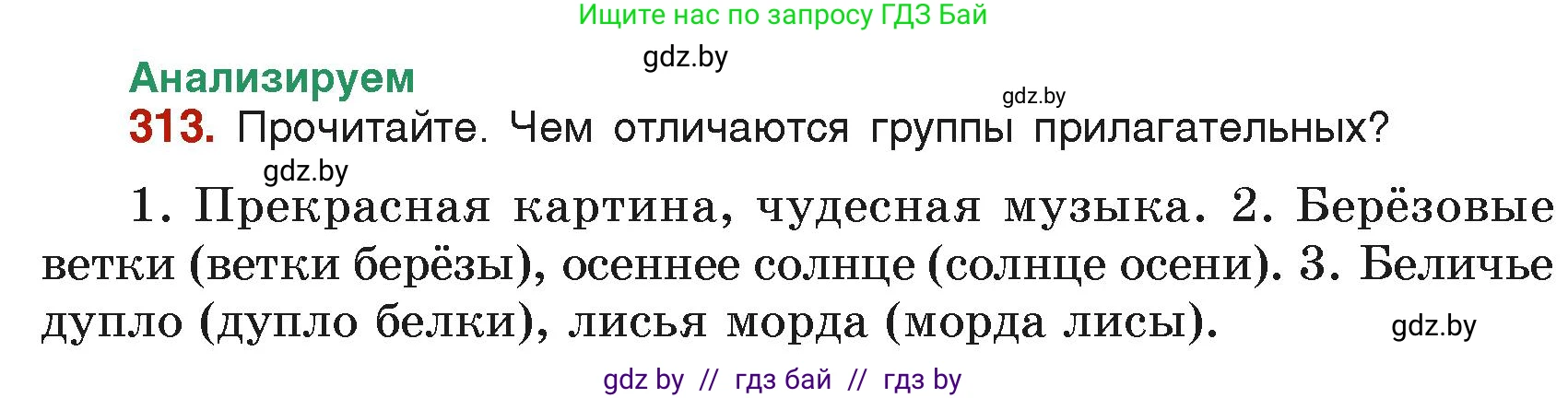 Русский язык, 6 класс Учебник, авторы: Мурина Лариса Александровна, Леонович Валентина Леонидовна, Жадейко Жанна Фёдоровна, Таяновская Ирина Владимировна, издательство Академия образования, Минск, 2026, страница 156, номер 313, Условие