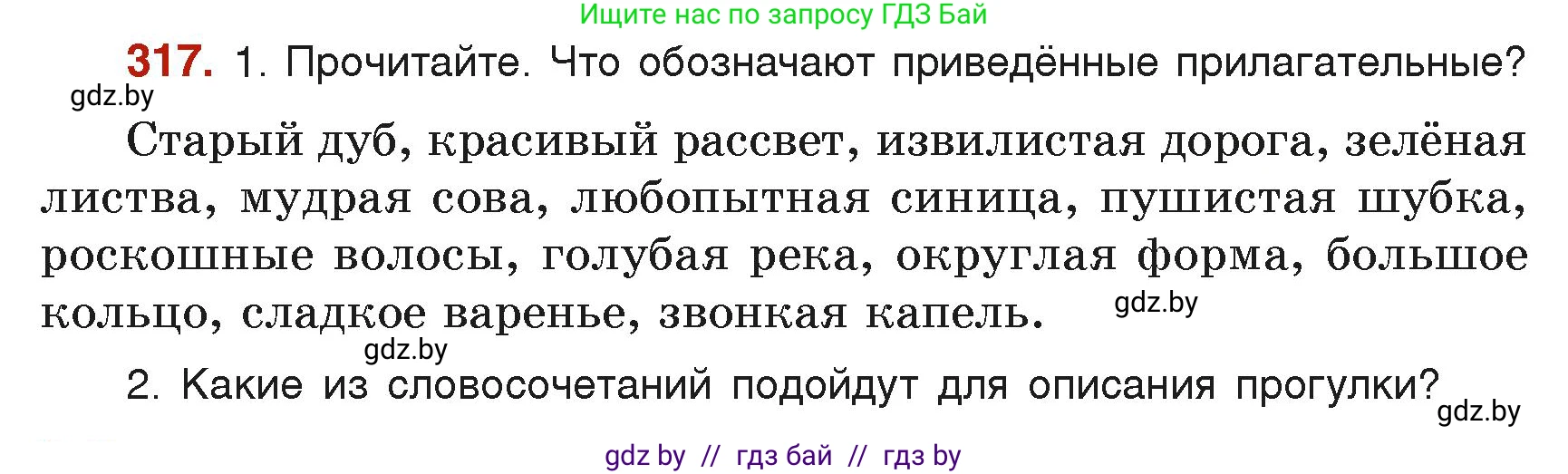 Русский язык, 6 класс Учебник, авторы: Мурина Лариса Александровна, Леонович Валентина Леонидовна, Жадейко Жанна Фёдоровна, Таяновская Ирина Владимировна, издательство Академия образования, Минск, 2026, страница 158, номер 317, Условие