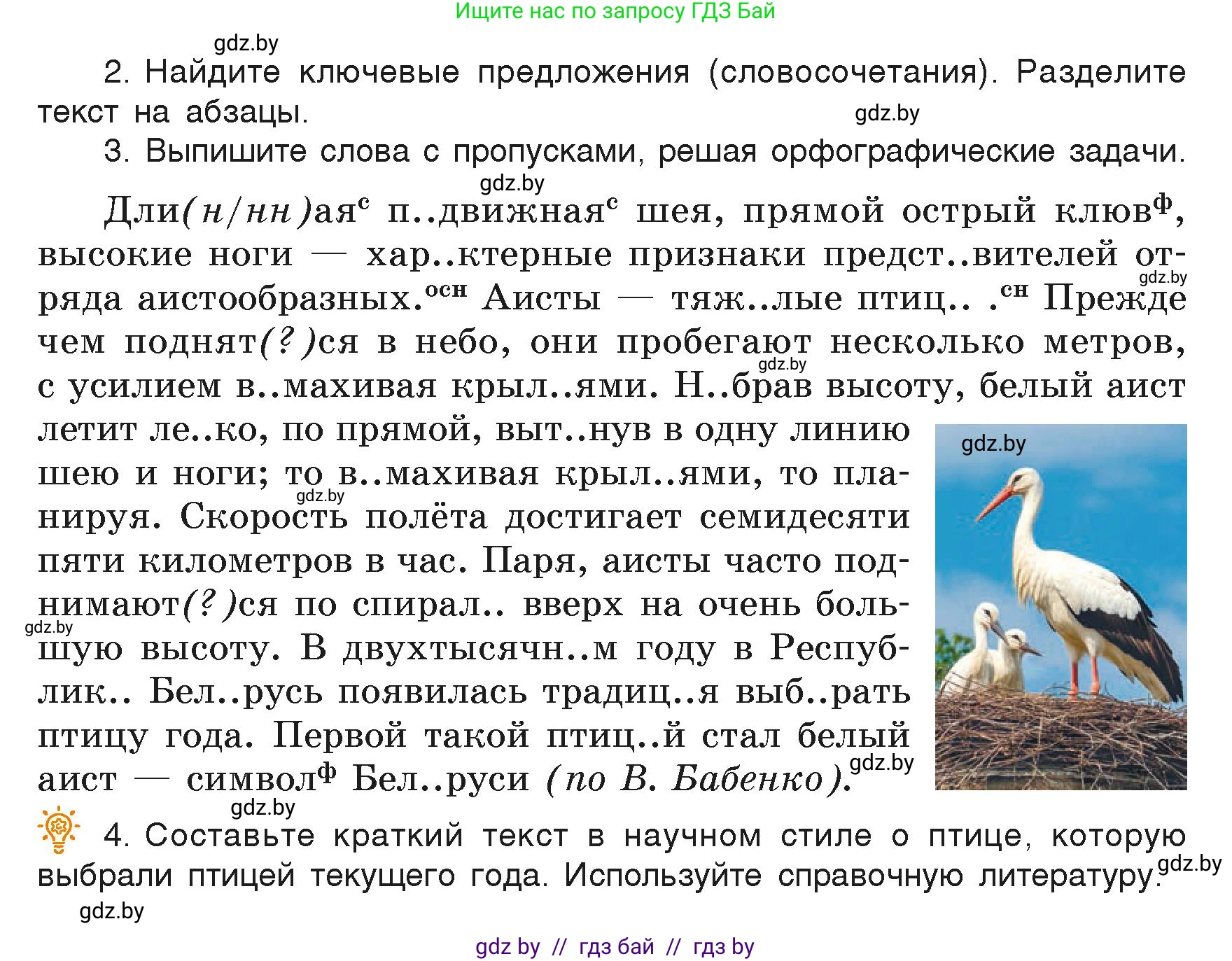 Русский язык, 6 класс Учебник, авторы: Мурина Лариса Александровна, Леонович Валентина Леонидовна, Жадейко Жанна Фёдоровна, Таяновская Ирина Владимировна, издательство Академия образования, Минск, 2026, страница 28, номер 36, Условие (продолжение 2)