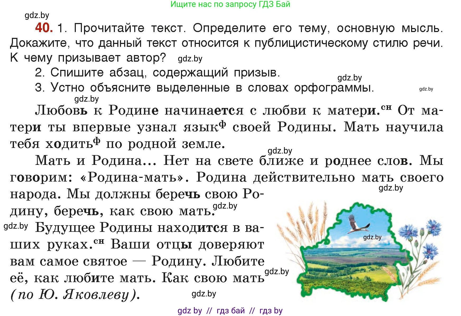 Русский язык, 6 класс Учебник, авторы: Мурина Лариса Александровна, Леонович Валентина Леонидовна, Жадейко Жанна Фёдоровна, Таяновская Ирина Владимировна, издательство Академия образования, Минск, 2026, страница 31, номер 40, Условие