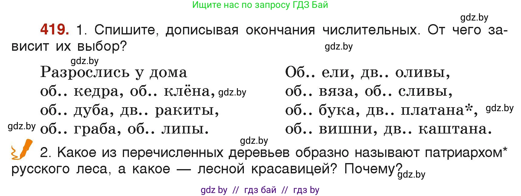 Русский язык, 6 класс Учебник, авторы: Мурина Лариса Александровна, Леонович Валентина Леонидовна, Жадейко Жанна Фёдоровна, Таяновская Ирина Владимировна, издательство Академия образования, Минск, 2026, страница 207, номер 419, Условие