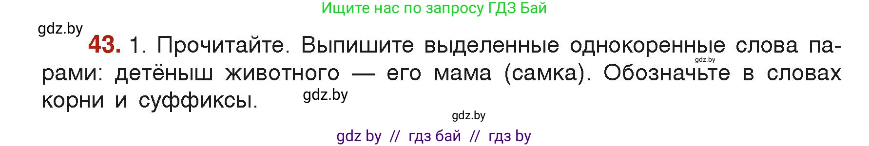 Русский язык, 6 класс Учебник, авторы: Мурина Лариса Александровна, Леонович Валентина Леонидовна, Жадейко Жанна Фёдоровна, Таяновская Ирина Владимировна, издательство Академия образования, Минск, 2026, страница 33, номер 43, Условие