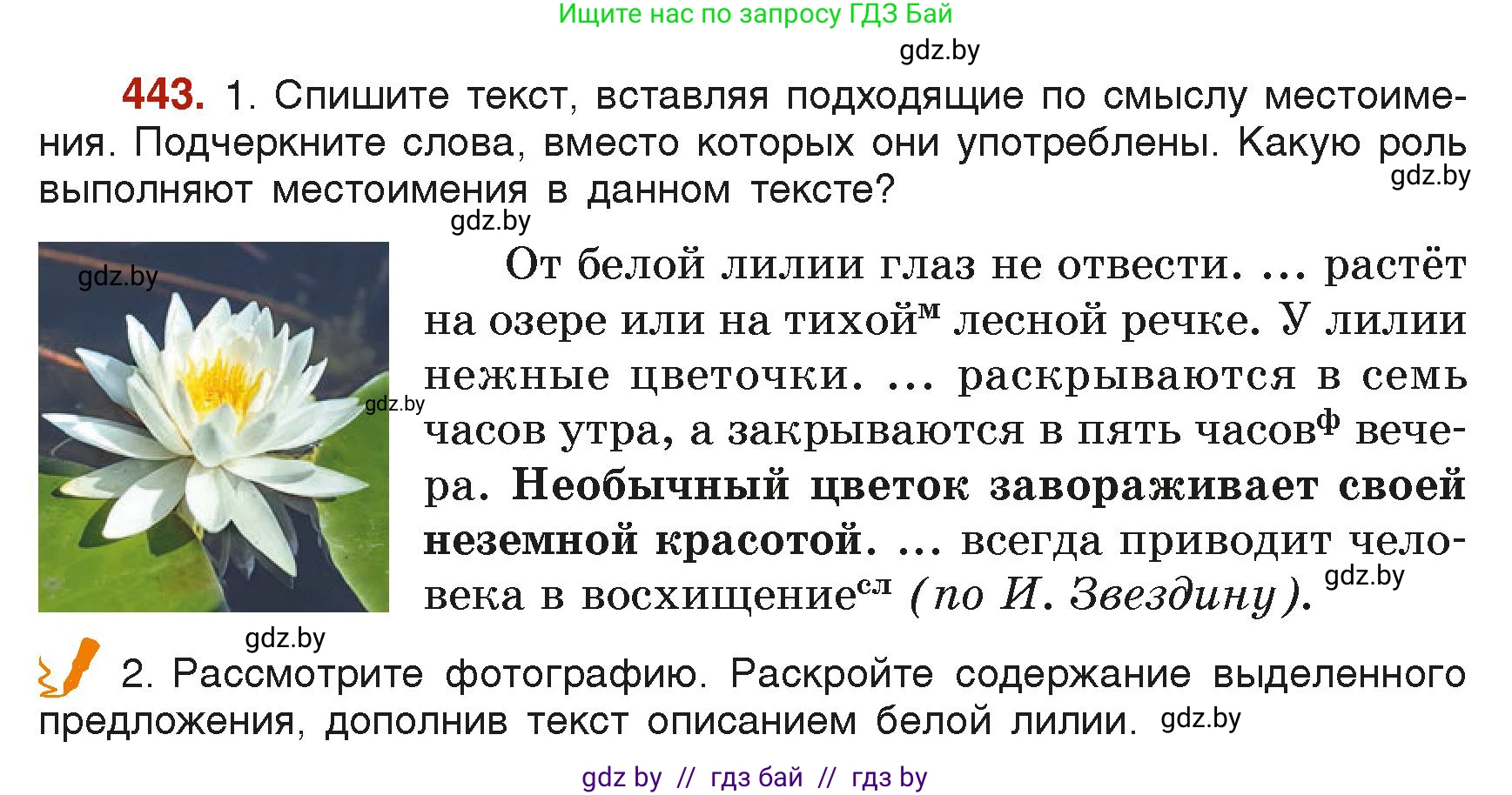 Русский язык, 6 класс Учебник, авторы: Мурина Лариса Александровна, Леонович Валентина Леонидовна, Жадейко Жанна Фёдоровна, Таяновская Ирина Владимировна, издательство Академия образования, Минск, 2026, страница 218, номер 443, Условие