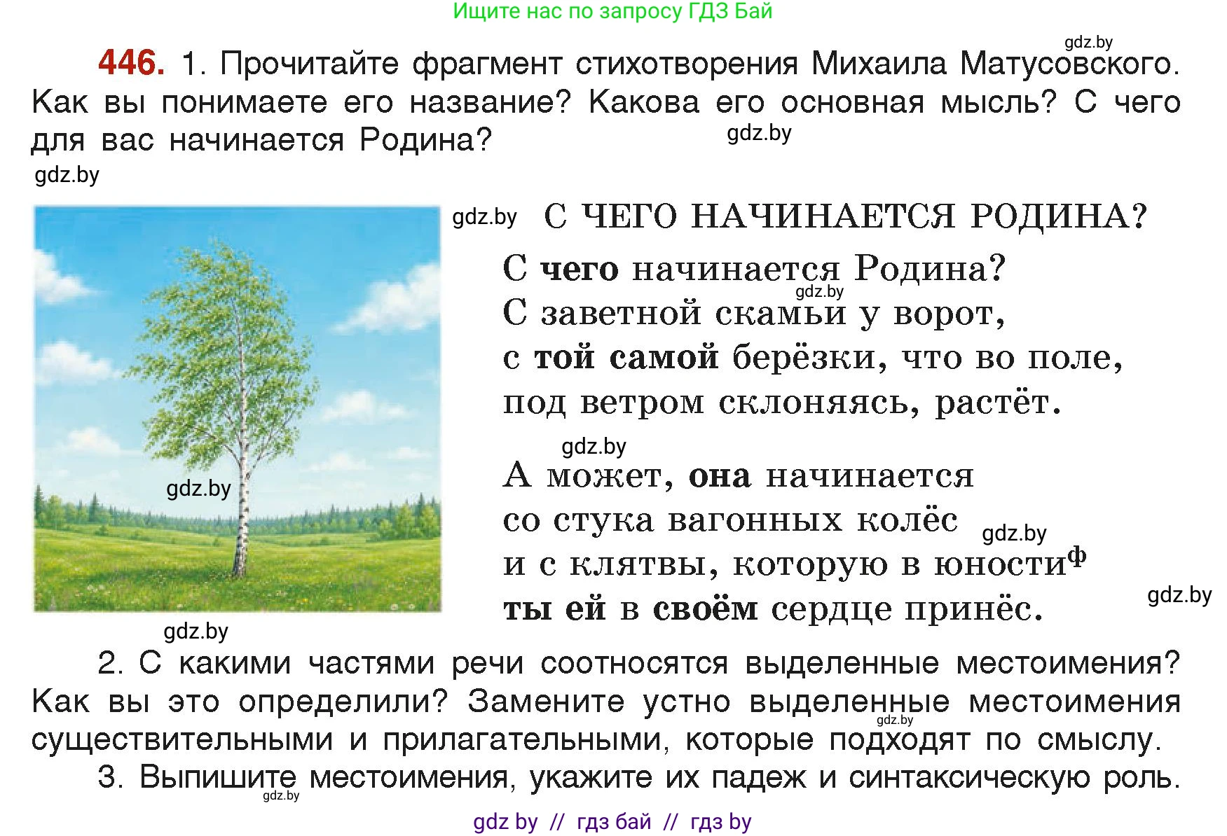 Русский язык, 6 класс Учебник, авторы: Мурина Лариса Александровна, Леонович Валентина Леонидовна, Жадейко Жанна Фёдоровна, Таяновская Ирина Владимировна, издательство Академия образования, Минск, 2026, страница 220, номер 446, Условие