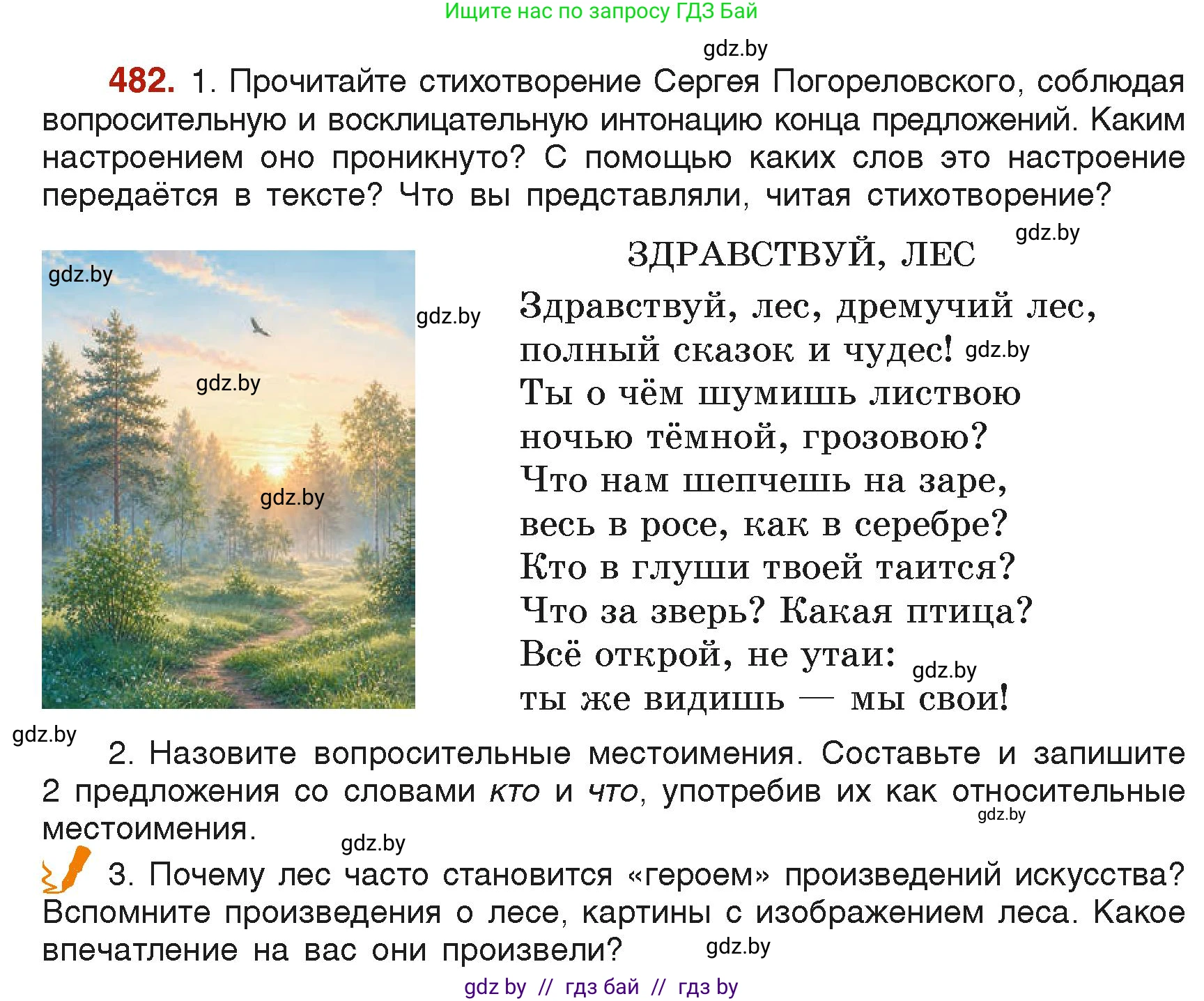 Русский язык, 6 класс Учебник, авторы: Мурина Лариса Александровна, Леонович Валентина Леонидовна, Жадейко Жанна Фёдоровна, Таяновская Ирина Владимировна, издательство Академия образования, Минск, 2026, страница 236, номер 482, Условие