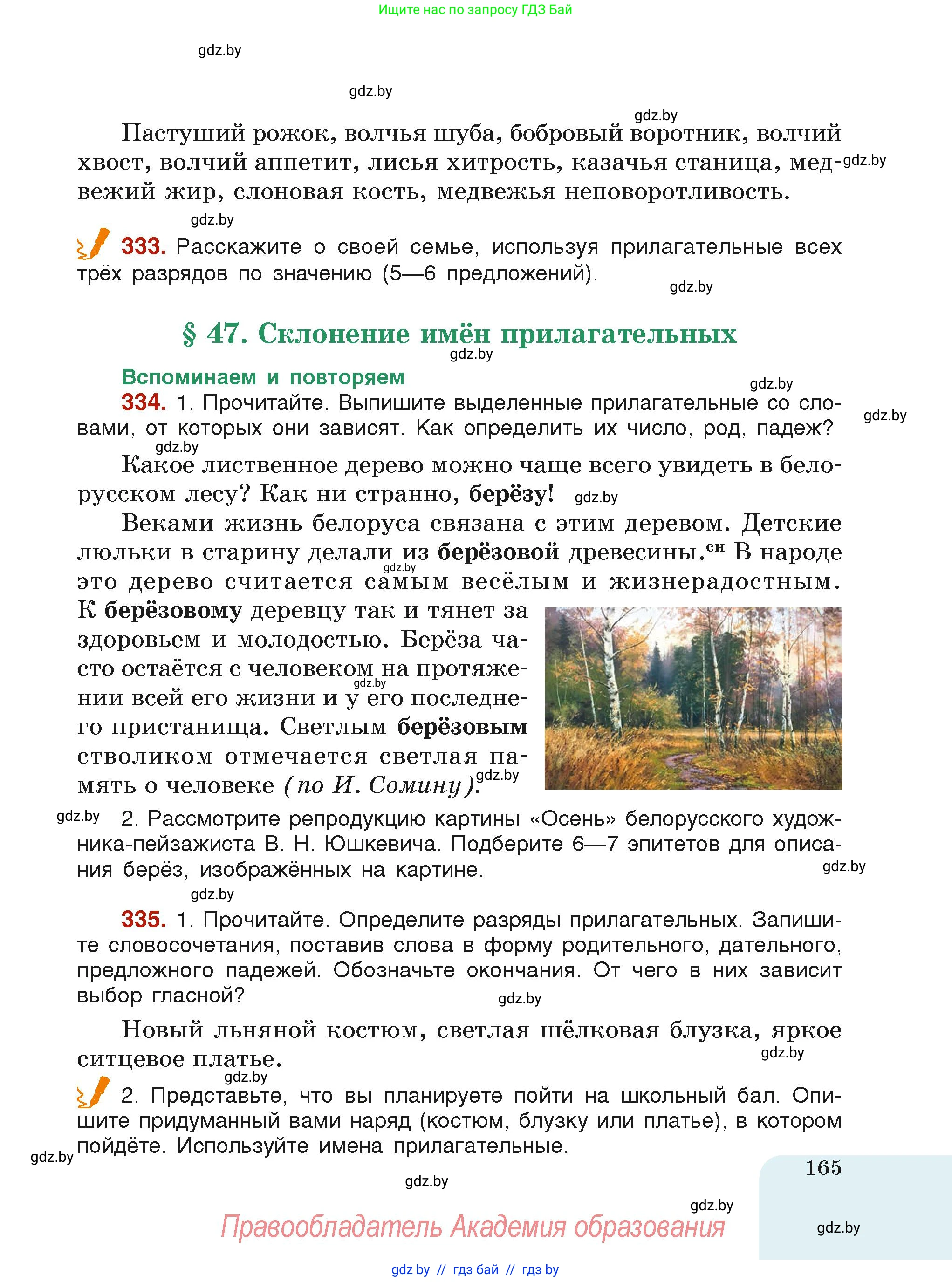Русский язык, 6 класс Учебник, авторы: Мурина Лариса Александровна, Леонович Валентина Леонидовна, Жадейко Жанна Фёдоровна, Таяновская Ирина Владимировна, издательство Академия образования, Минск, 2026, страница 165