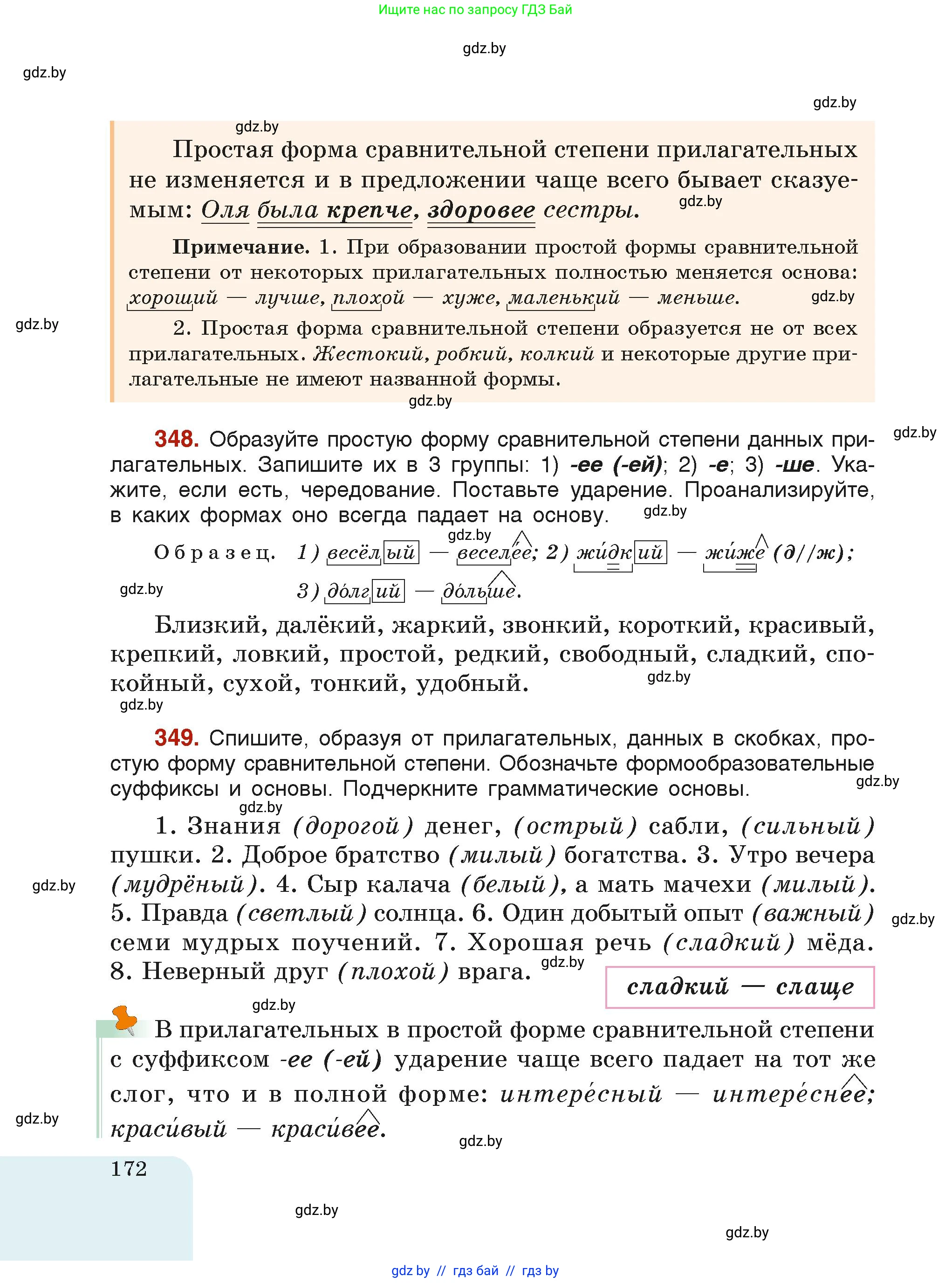 Русский язык, 6 класс Учебник, авторы: Мурина Лариса Александровна, Леонович Валентина Леонидовна, Жадейко Жанна Фёдоровна, Таяновская Ирина Владимировна, издательство Академия образования, Минск, 2026, страница 172