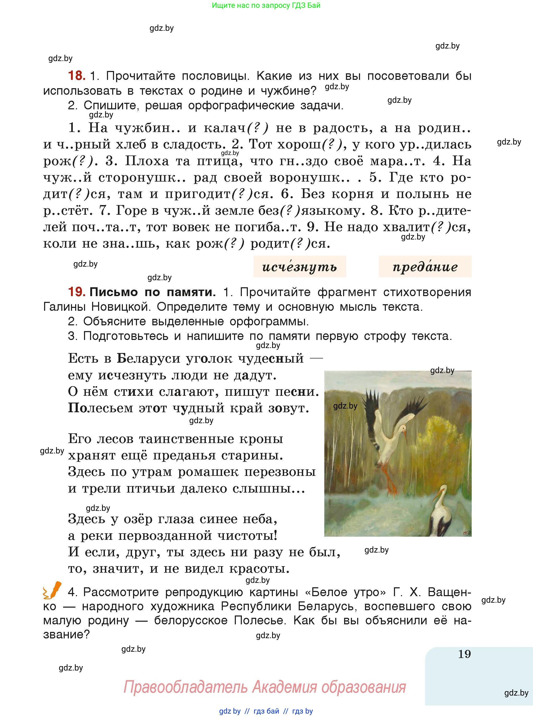 Русский язык, 6 класс Учебник, авторы: Мурина Лариса Александровна, Леонович Валентина Леонидовна, Жадейко Жанна Фёдоровна, Таяновская Ирина Владимировна, издательство Академия образования, Минск, 2026, страница 19