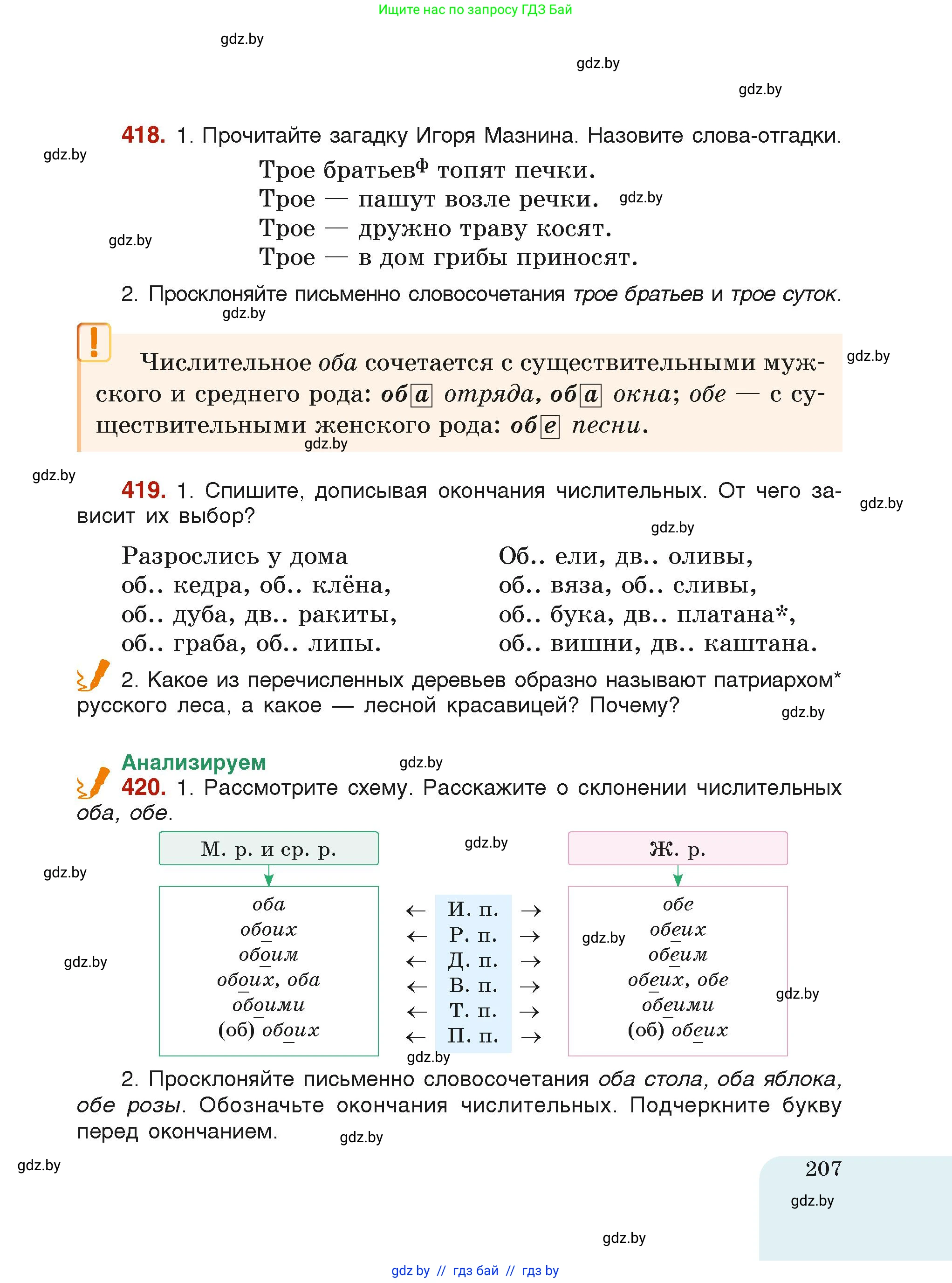 Русский язык, 6 класс Учебник, авторы: Мурина Лариса Александровна, Леонович Валентина Леонидовна, Жадейко Жанна Фёдоровна, Таяновская Ирина Владимировна, издательство Академия образования, Минск, 2026, страница 207