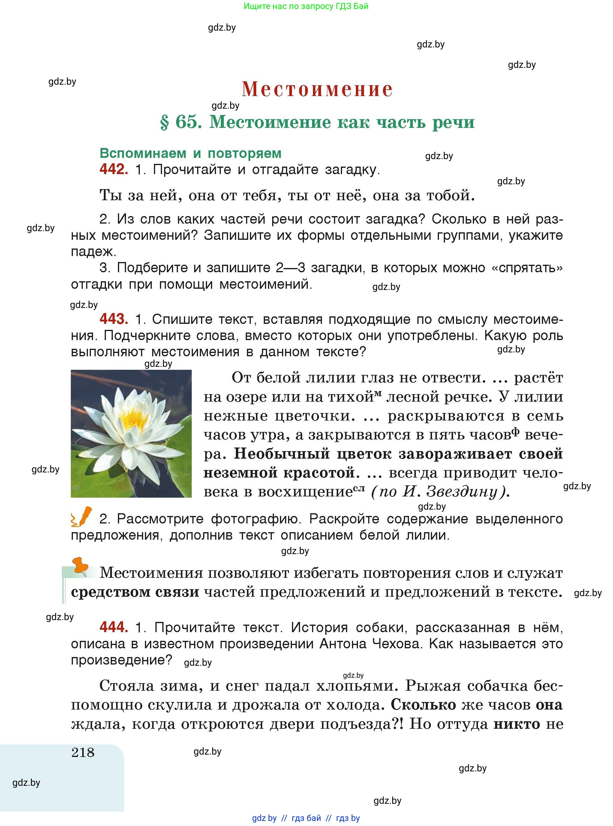 Русский язык, 6 класс Учебник, авторы: Мурина Лариса Александровна, Леонович Валентина Леонидовна, Жадейко Жанна Фёдоровна, Таяновская Ирина Владимировна, издательство Академия образования, Минск, 2026, страница 218