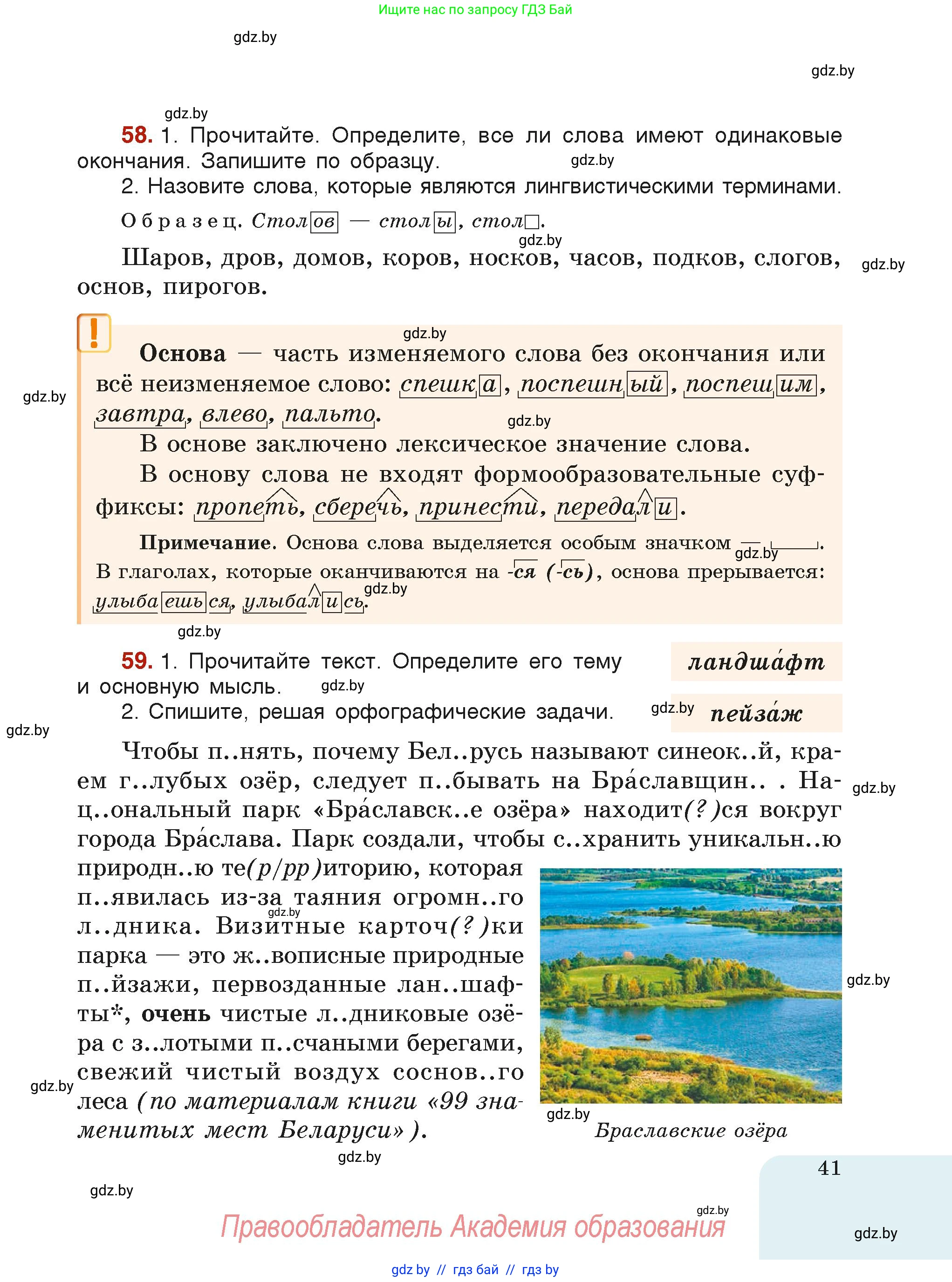 Русский язык, 6 класс Учебник, авторы: Мурина Лариса Александровна, Леонович Валентина Леонидовна, Жадейко Жанна Фёдоровна, Таяновская Ирина Владимировна, издательство Академия образования, Минск, 2026, страница 41