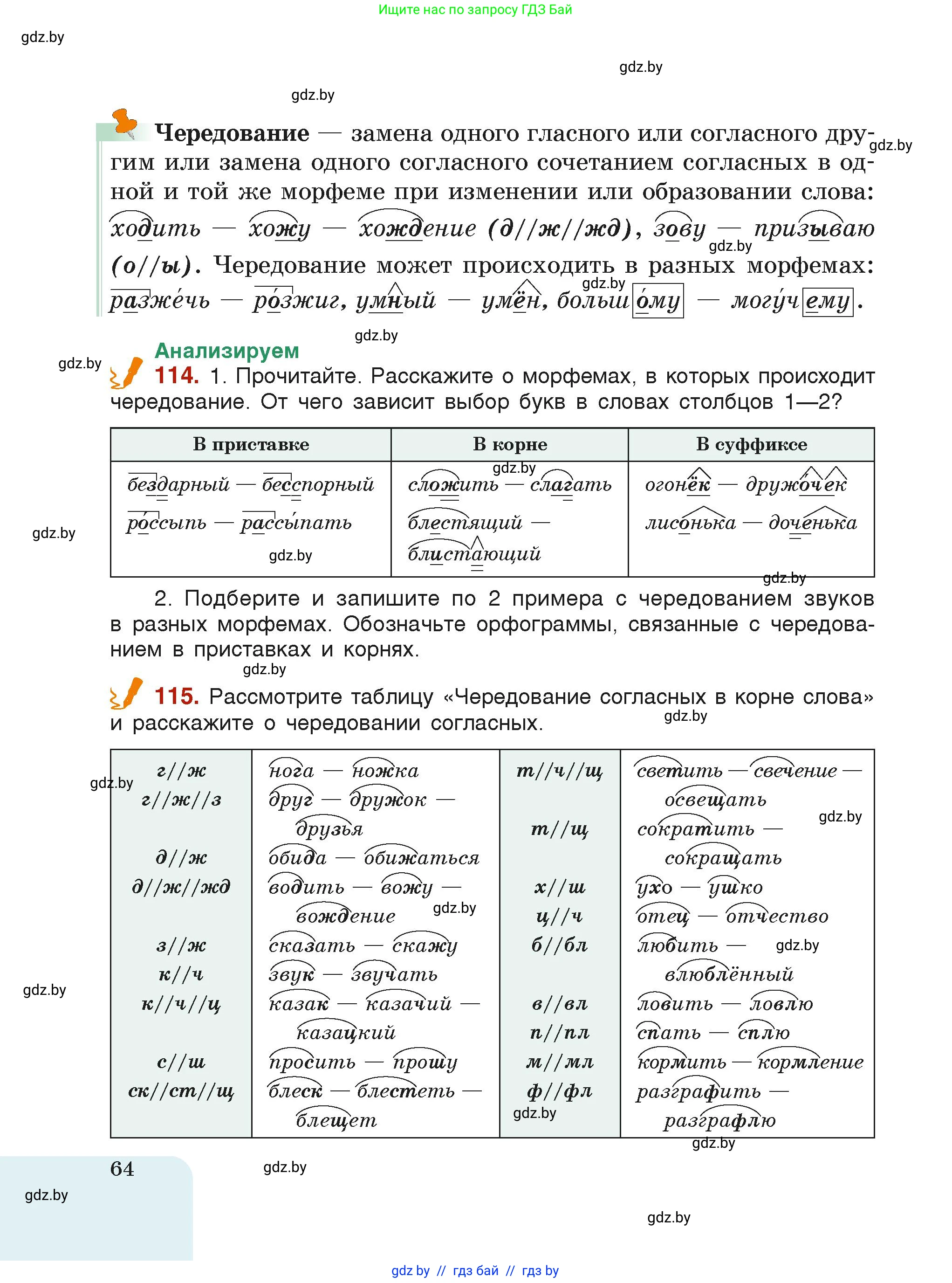 Русский язык, 6 класс Учебник, авторы: Мурина Лариса Александровна, Леонович Валентина Леонидовна, Жадейко Жанна Фёдоровна, Таяновская Ирина Владимировна, издательство Академия образования, Минск, 2026, страница 64