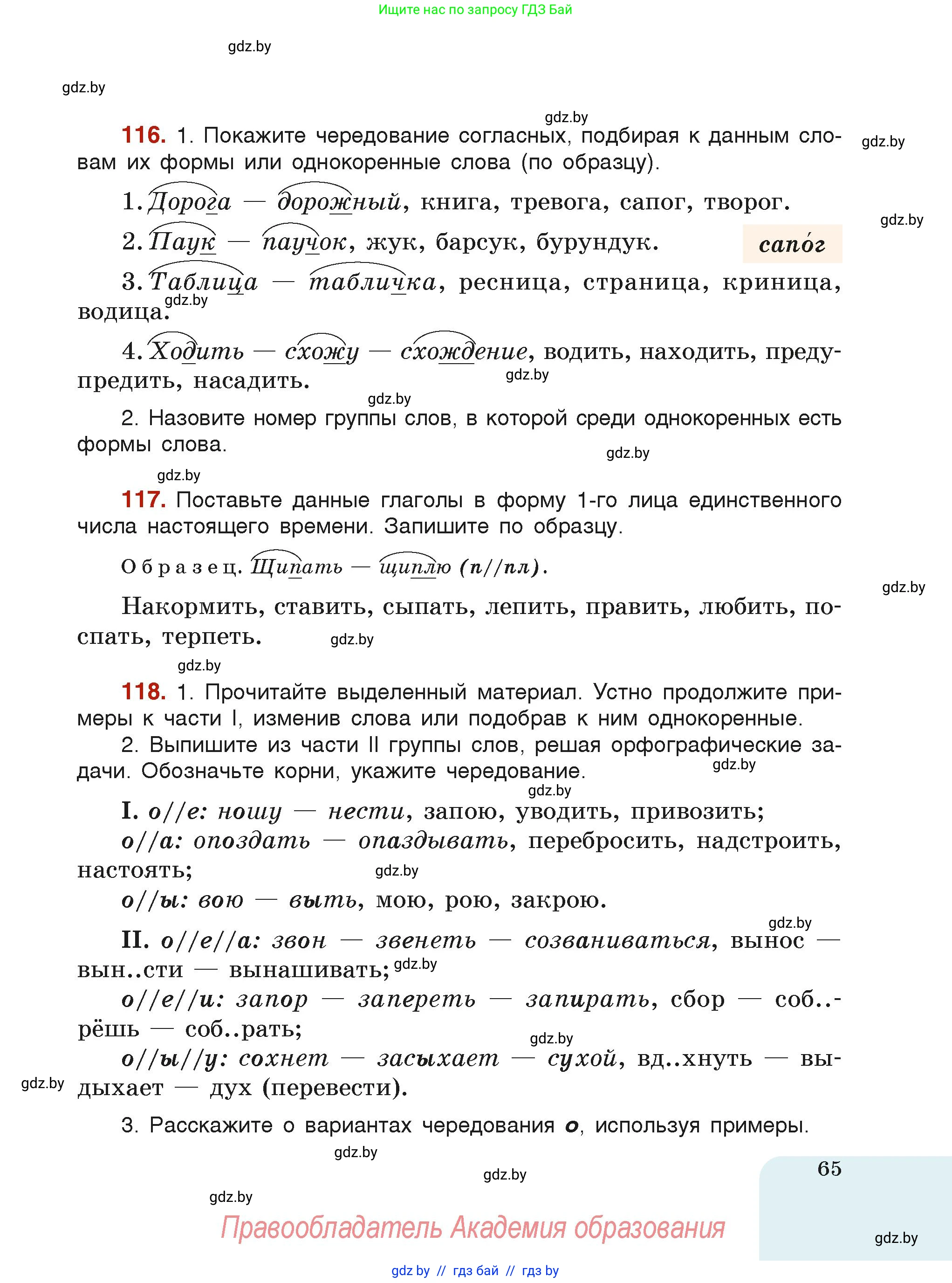 Русский язык, 6 класс Учебник, авторы: Мурина Лариса Александровна, Леонович Валентина Леонидовна, Жадейко Жанна Фёдоровна, Таяновская Ирина Владимировна, издательство Академия образования, Минск, 2026, страница 65