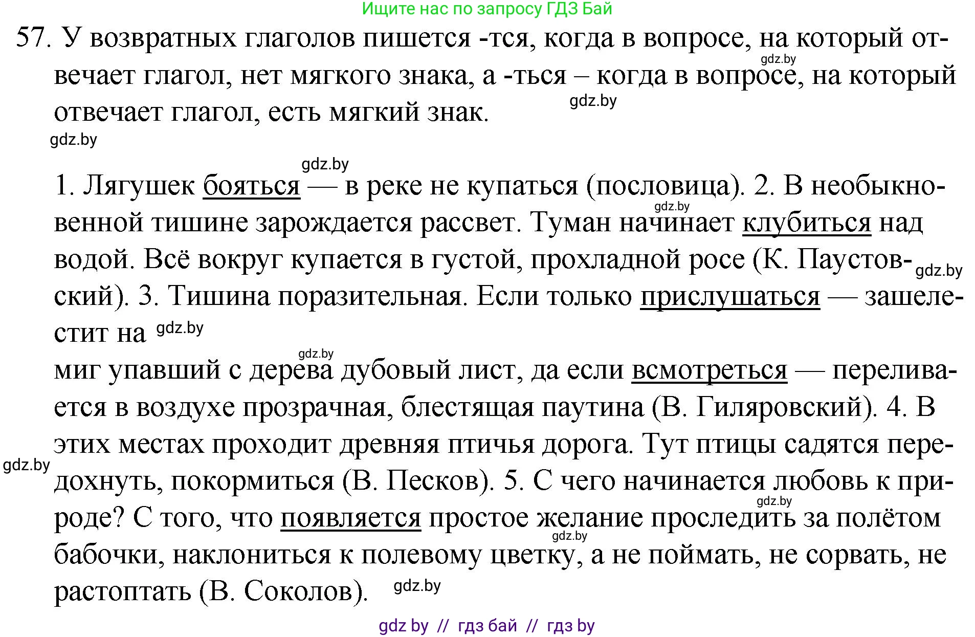 Русский язык, 7 класс Учебник, авторы: Волынец Татьяна Николаевна, Литвинко Франя Михайловна, Долбик Елена Евгеньевна, Таяновская И В, Винник И Р, издательство Национальный институт образования, Минск, 2020, бирюзового цвета, страница 36, номер 57, Решение