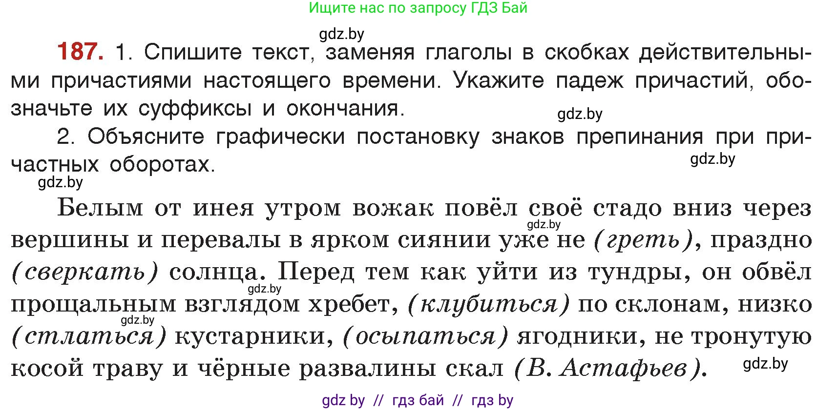 Русский язык, 7 класс Учебник, авторы: Волынец Татьяна Николаевна, Литвинко Франя Михайловна, Долбик Елена Евгеньевна, Таяновская Ирина Владимировна, Винник И Р, издательство Академия образования, Минск, 2026, голубого цвета, страница 105, номер 187, Условие