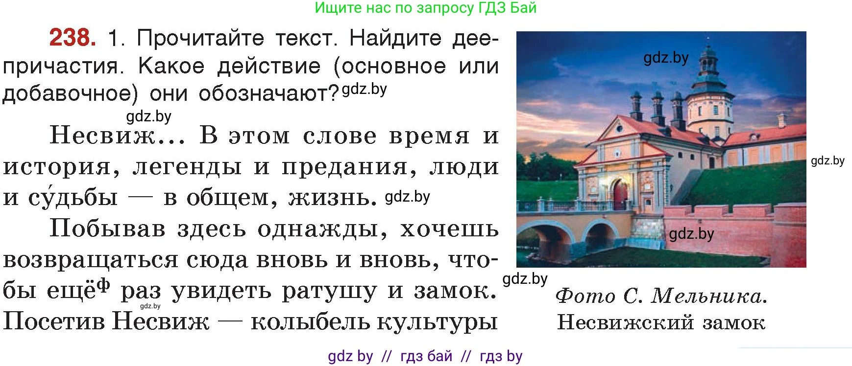 Русский язык, 7 класс Учебник, авторы: Волынец Татьяна Николаевна, Литвинко Франя Михайловна, Долбик Елена Евгеньевна, Таяновская Ирина Владимировна, Винник И Р, издательство Академия образования, Минск, 2026, голубого цвета, страница 129, номер 238, Условие