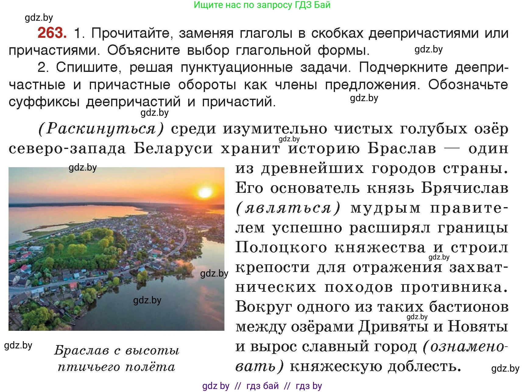 Русский язык, 7 класс Учебник, авторы: Волынец Татьяна Николаевна, Литвинко Франя Михайловна, Долбик Елена Евгеньевна, Таяновская Ирина Владимировна, Винник И Р, издательство Академия образования, Минск, 2026, голубого цвета, страница 142, номер 263, Условие
