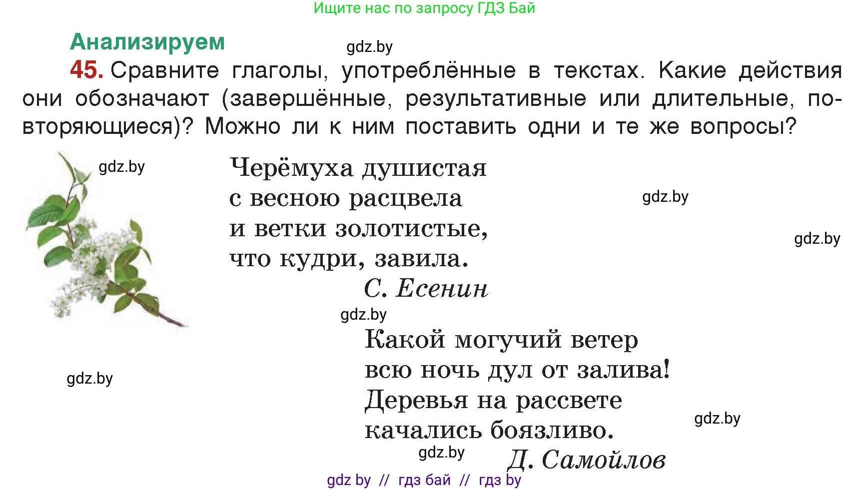 Русский язык, 7 класс Учебник, авторы: Волынец Татьяна Николаевна, Литвинко Франя Михайловна, Долбик Елена Евгеньевна, Таяновская Ирина Владимировна, Винник И Р, издательство Академия образования, Минск, 2026, голубого цвета, страница 36, номер 45, Условие