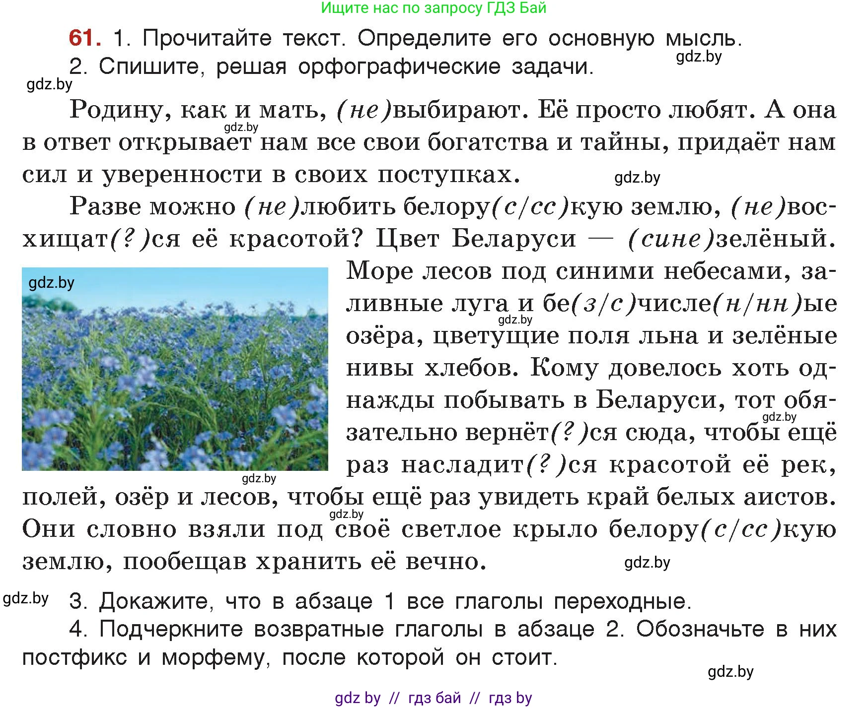 Русский язык, 7 класс Учебник, авторы: Волынец Татьяна Николаевна, Литвинко Франя Михайловна, Долбик Елена Евгеньевна, Таяновская Ирина Владимировна, Винник И Р, издательство Академия образования, Минск, 2026, голубого цвета, страница 44, номер 61, Условие