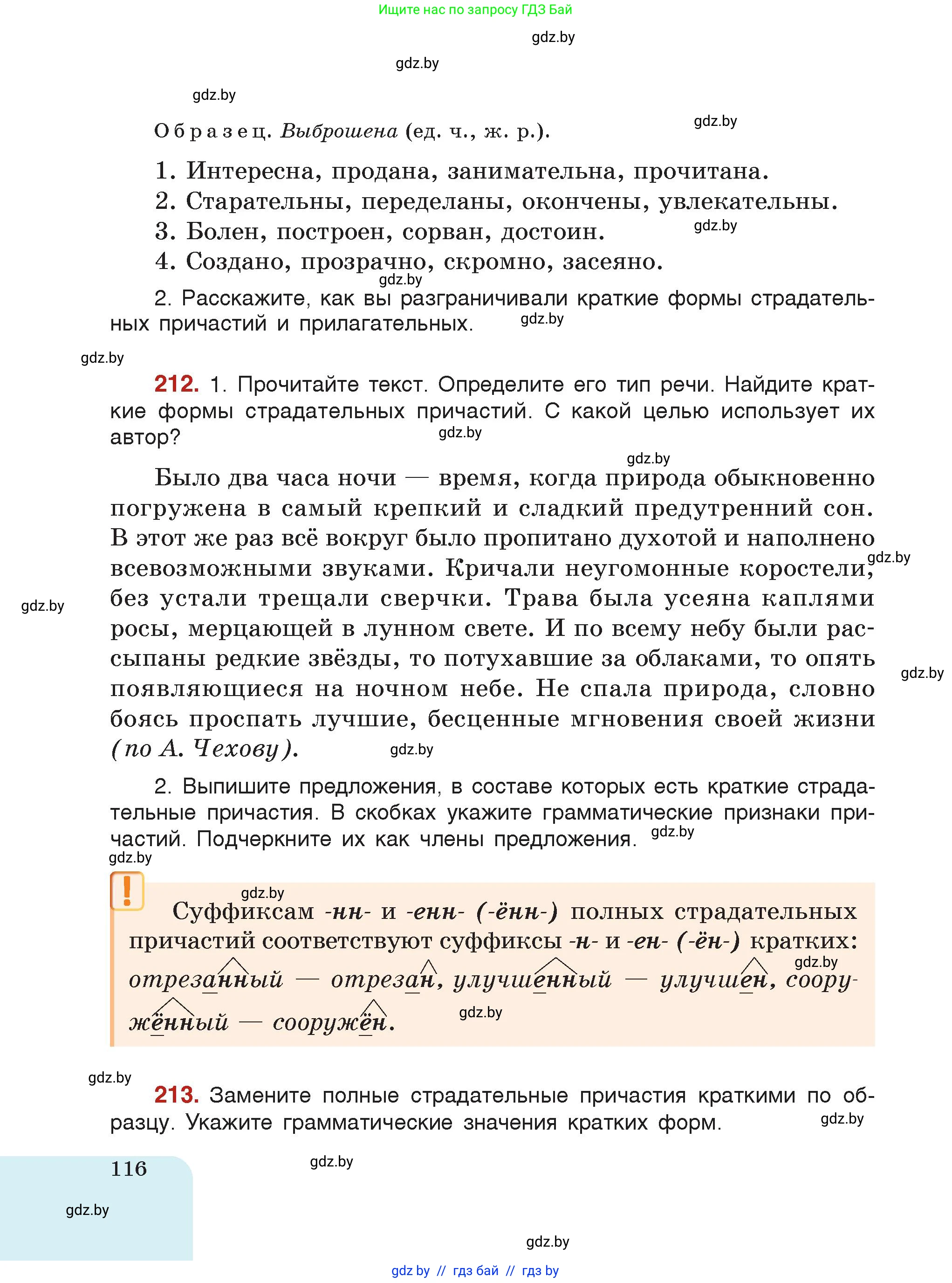 Русский язык, 7 класс Учебник, авторы: Волынец Татьяна Николаевна, Литвинко Франя Михайловна, Долбик Елена Евгеньевна, Таяновская Ирина Владимировна, Винник И Р, издательство Академия образования, Минск, 2026, голубого цвета, страница 116