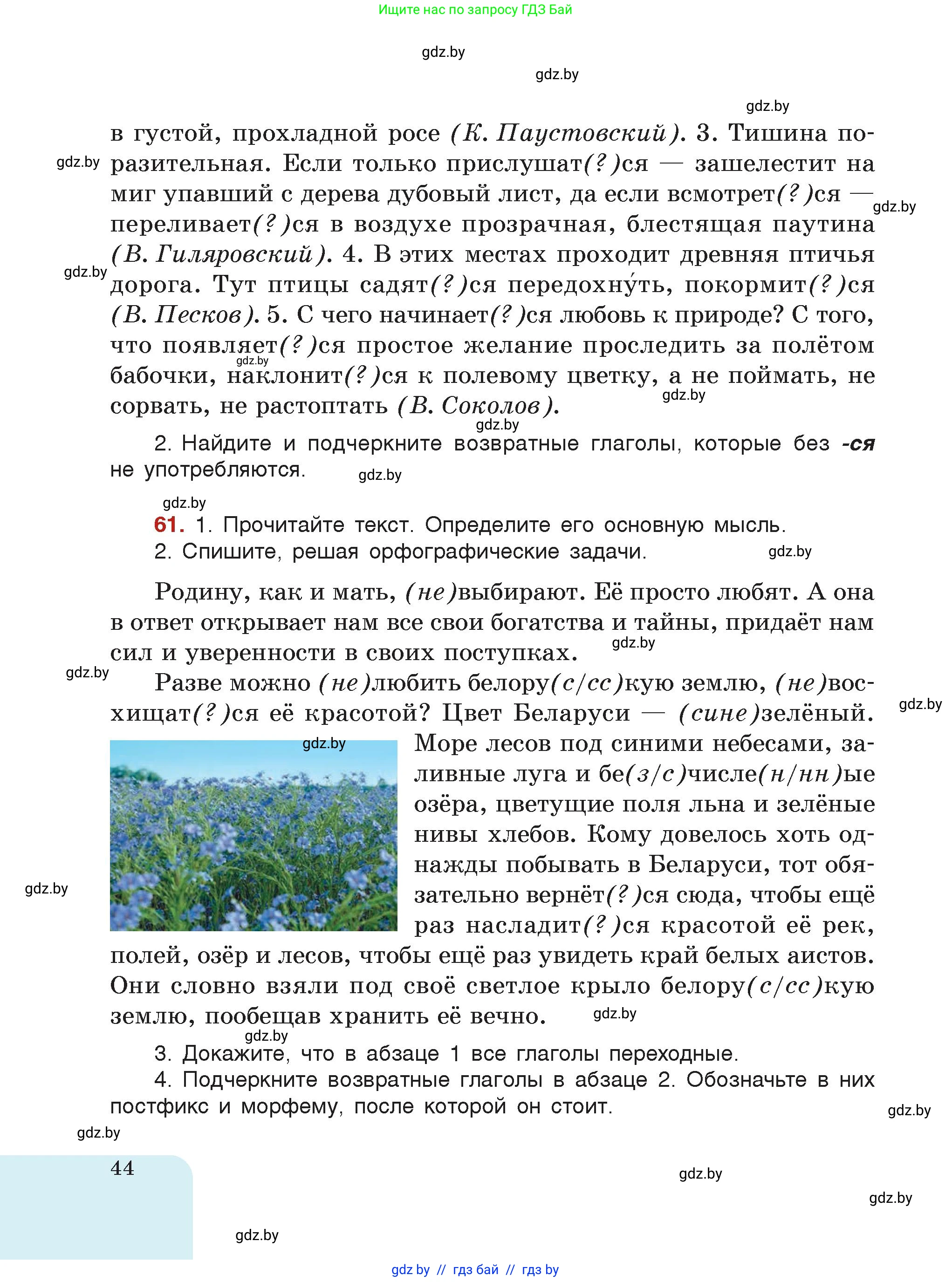 Русский язык, 7 класс Учебник, авторы: Волынец Татьяна Николаевна, Литвинко Франя Михайловна, Долбик Елена Евгеньевна, Таяновская Ирина Владимировна, Винник И Р, издательство Академия образования, Минск, 2026, голубого цвета, страница 44