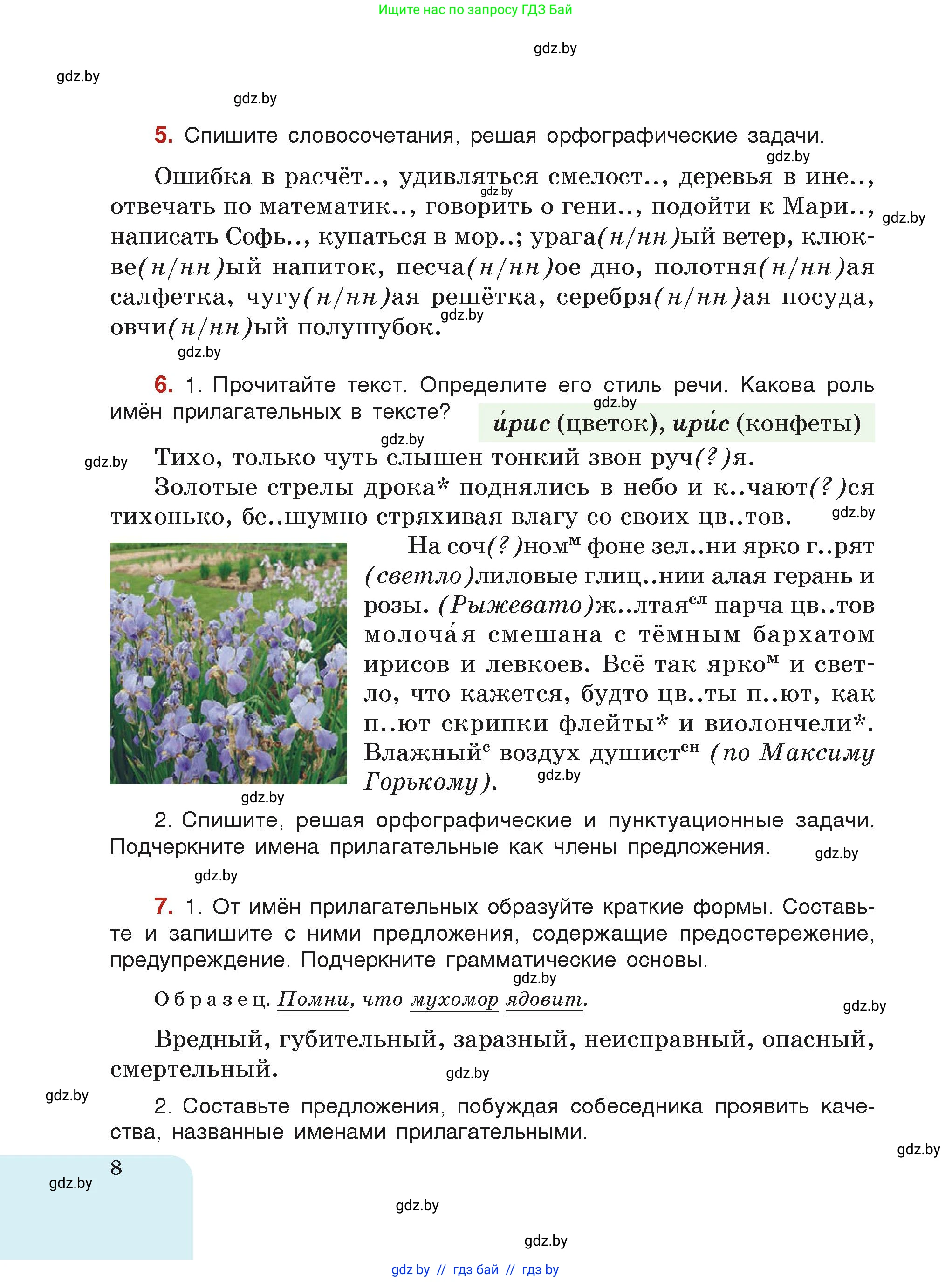 Русский язык, 7 класс Учебник, авторы: Волынец Татьяна Николаевна, Литвинко Франя Михайловна, Долбик Елена Евгеньевна, Таяновская Ирина Владимировна, Винник И Р, издательство Академия образования, Минск, 2026, голубого цвета, страница 8
