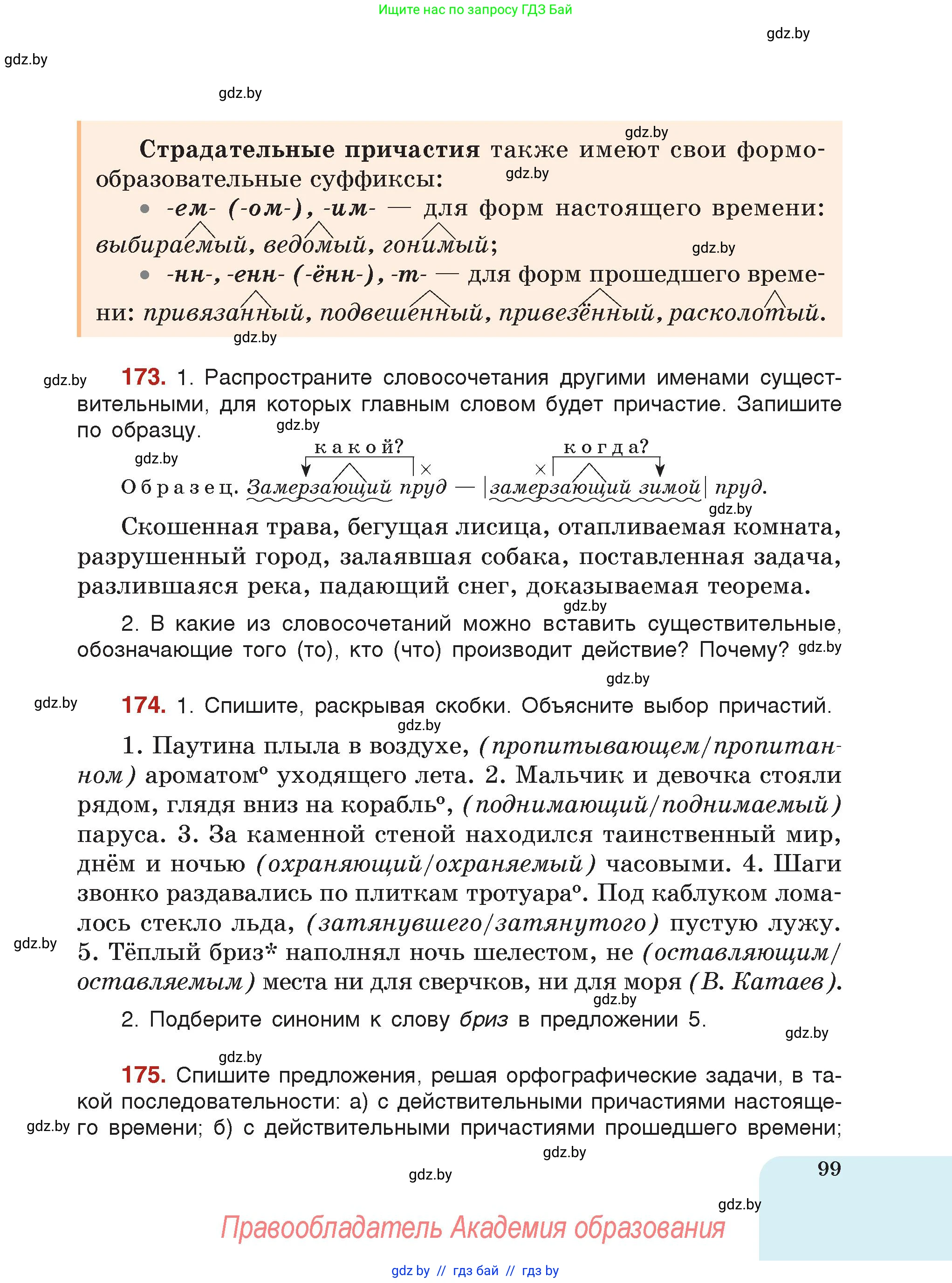 Русский язык, 7 класс Учебник, авторы: Волынец Татьяна Николаевна, Литвинко Франя Михайловна, Долбик Елена Евгеньевна, Таяновская Ирина Владимировна, Винник И Р, издательство Академия образования, Минск, 2026, голубого цвета, страница 99