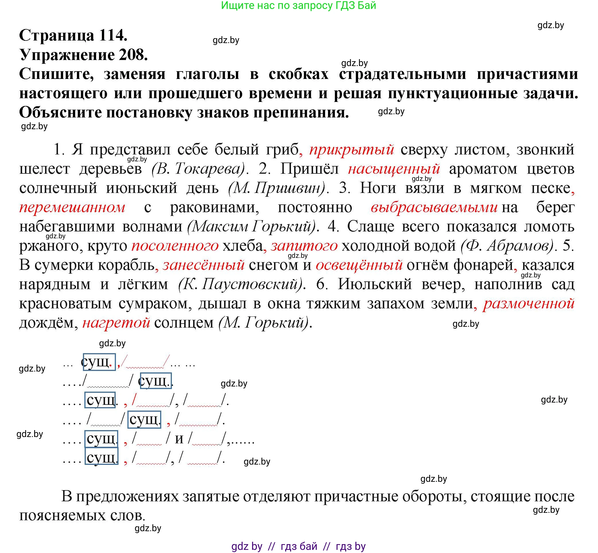 Русский язык, 7 класс Учебник, авторы: Волынец Татьяна Николаевна, Литвинко Франя Михайловна, Долбик Елена Евгеньевна, Таяновская Ирина Владимировна, Винник И Р, издательство Академия образования, Минск, 2026, голубого цвета, страница 114, номер 208, Решение
