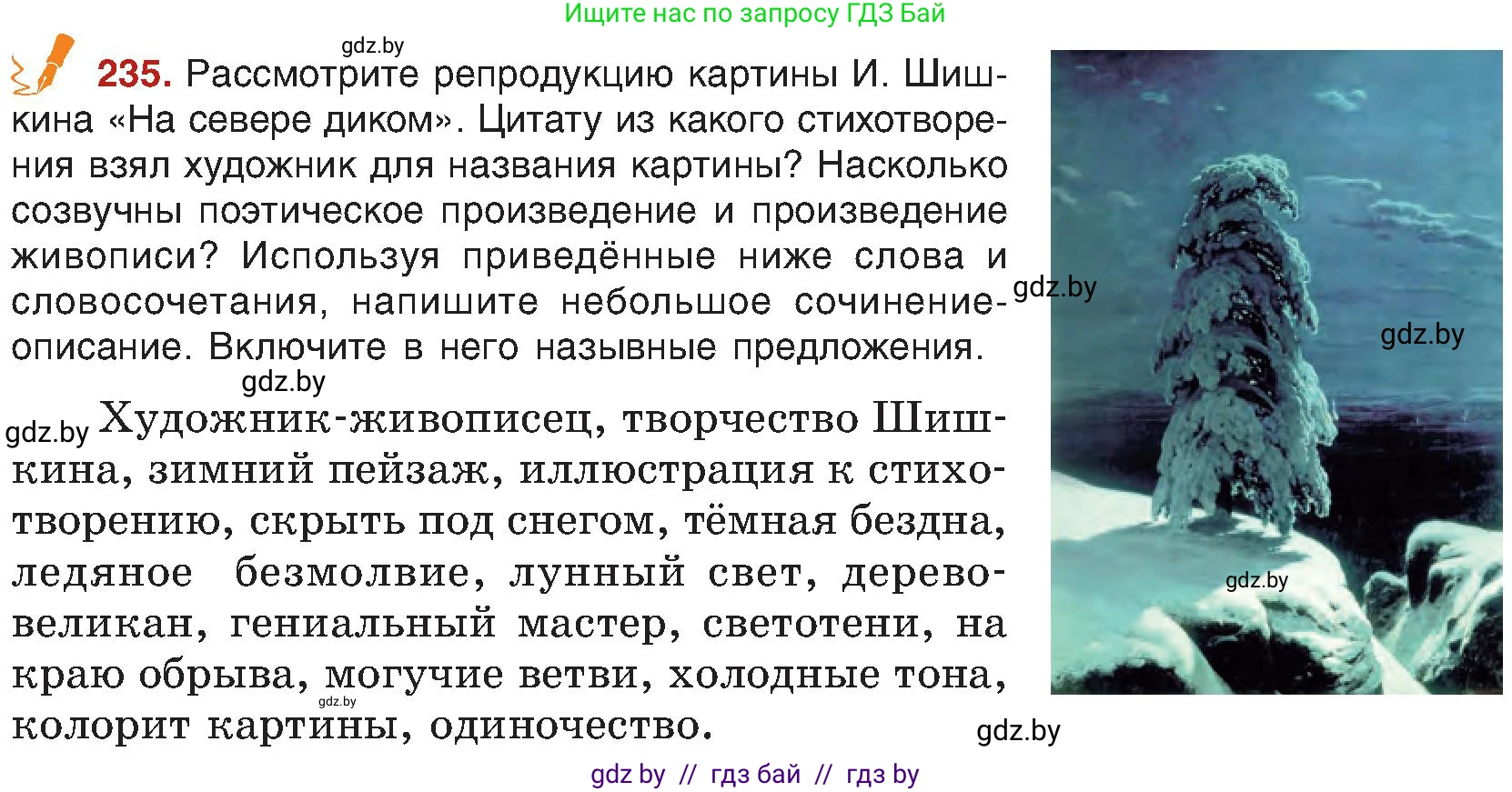 Русский язык, 8 класс Учебник, авторы: Мурина Лариса Александровна, Долбик Елена Евгеньевна, Леонович Валентина Леонидовна, Жадейко Жанна Фёдоровна, издательство Академия образования, Минск, 2024, страница 126, номер 235, Условие