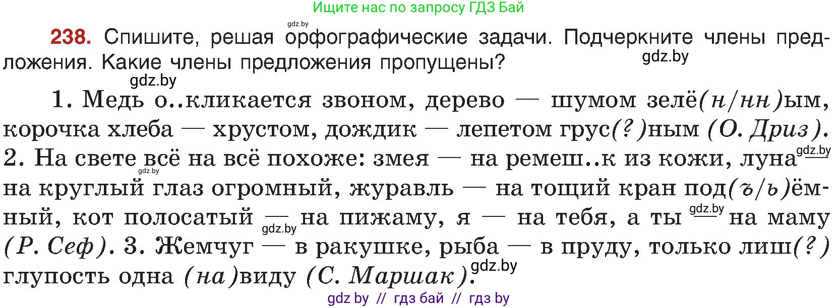 Русский язык, 8 класс Учебник, авторы: Мурина Лариса Александровна, Долбик Елена Евгеньевна, Леонович Валентина Леонидовна, Жадейко Жанна Фёдоровна, издательство Академия образования, Минск, 2024, страница 127, номер 238, Условие